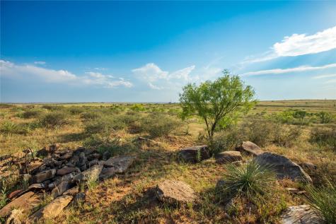 Tbd County Road 458 Colorado City TX 79512