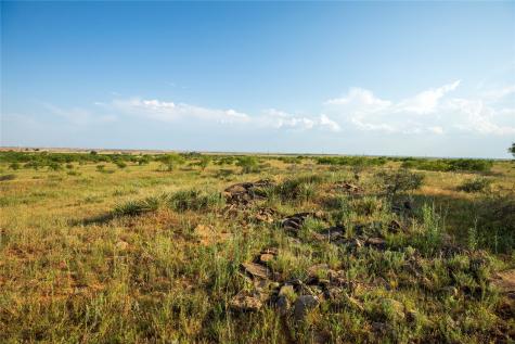 Tbd County Road 458 Colorado City TX 79512