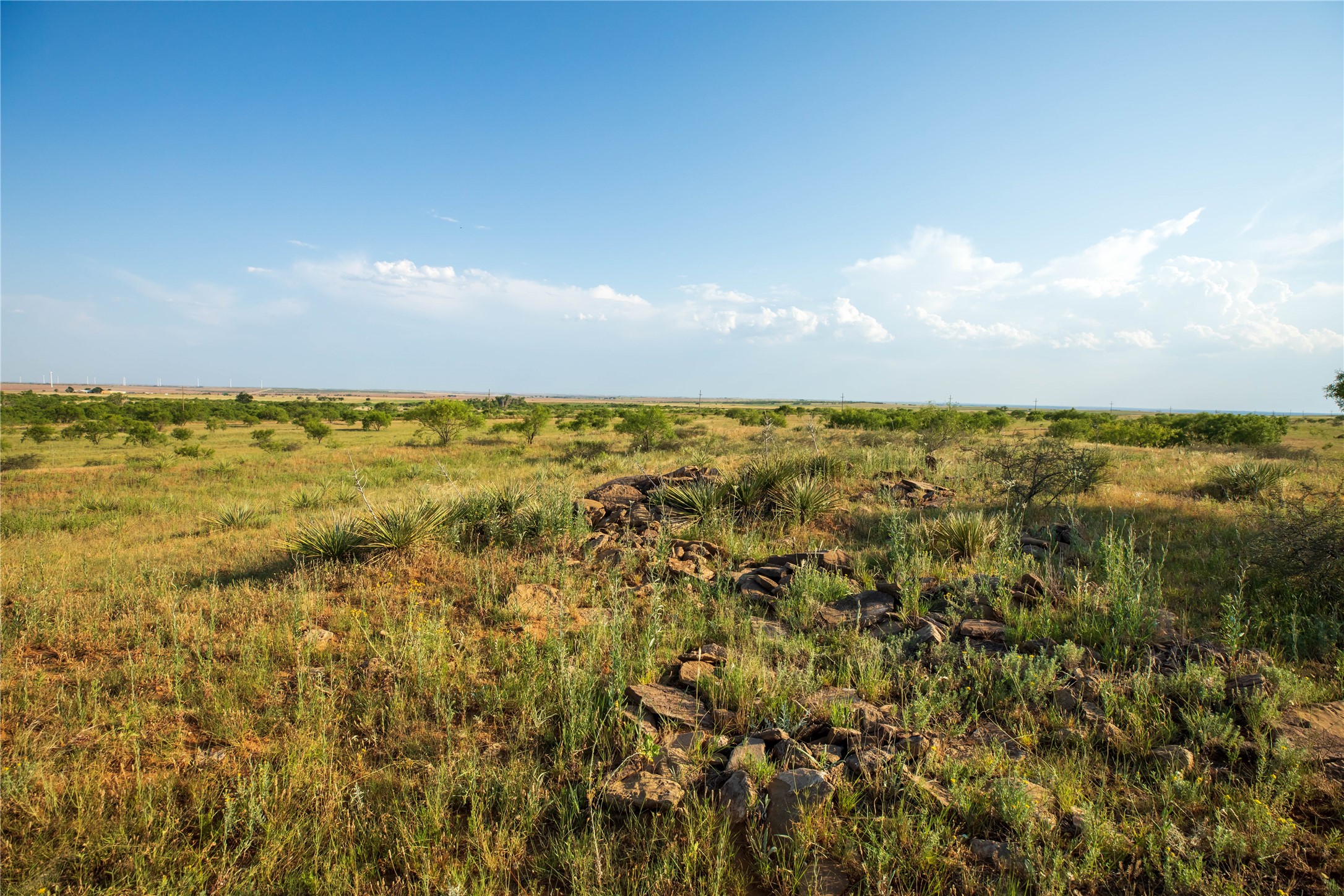Tbd County Road 458 Colorado City TX 79512