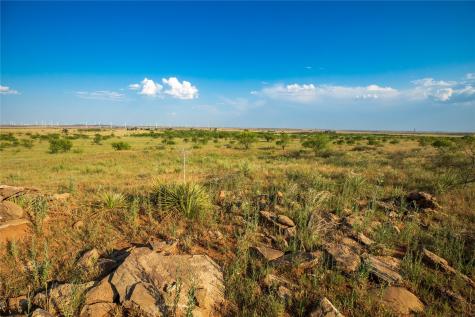 Tbd County Road 458 Colorado City TX 79512