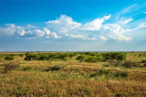 Tbd County Road 458 Colorado City TX 79512