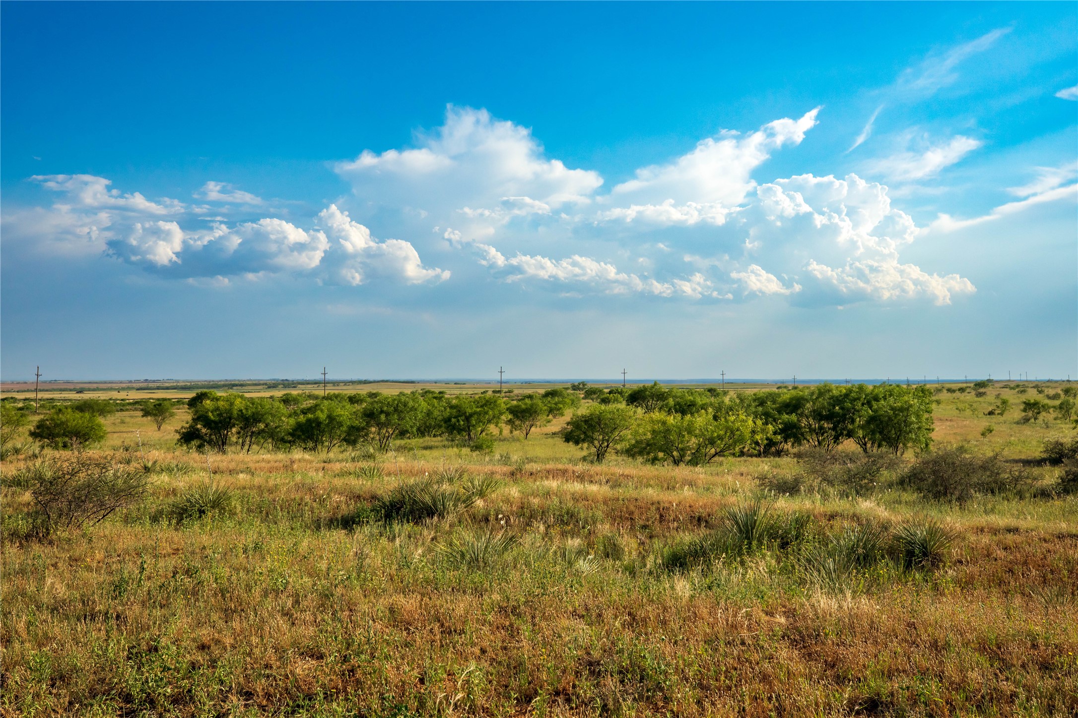 Tbd County Road 458 Colorado City TX 79512