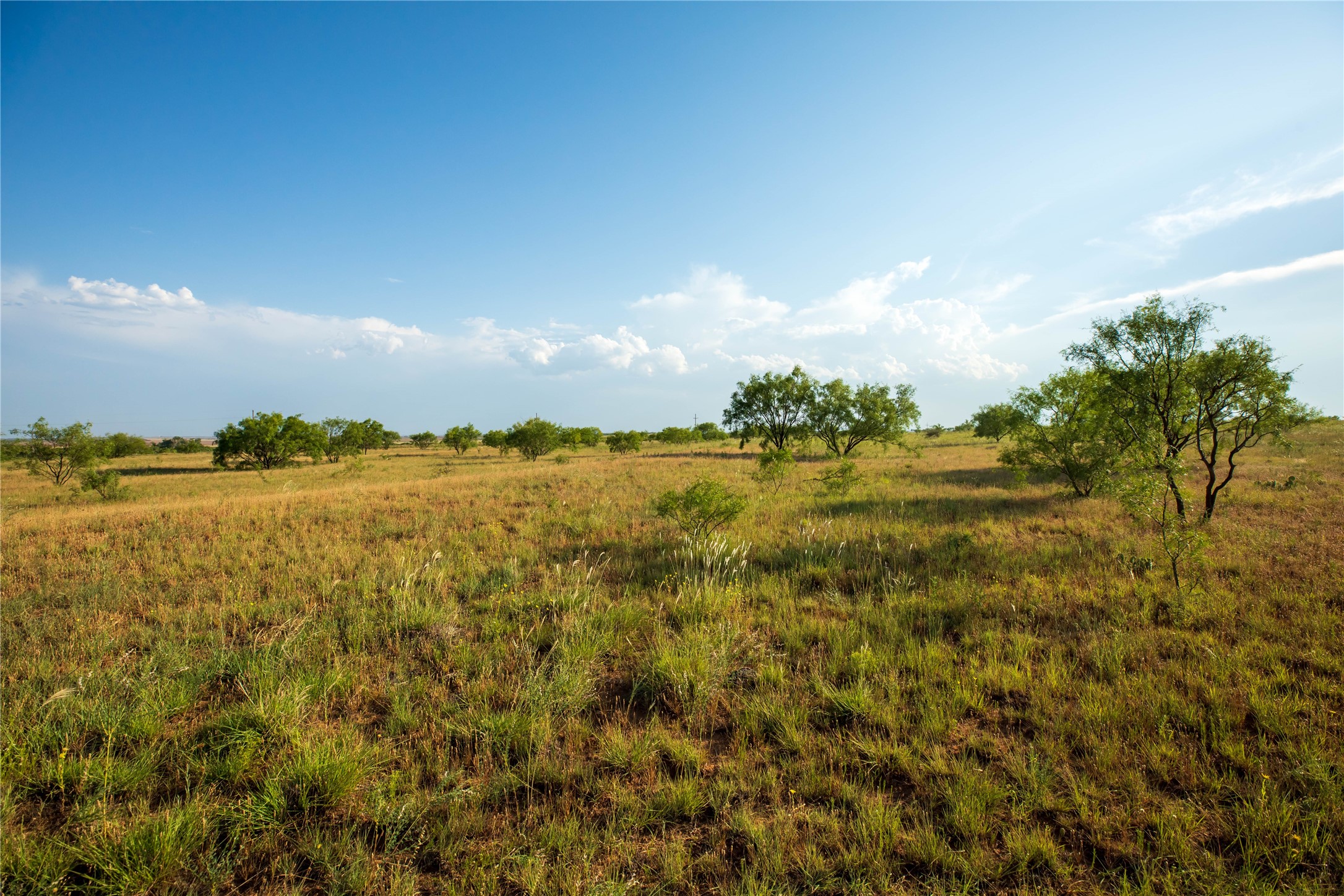 Tbd County Road 458 Colorado City TX 79512