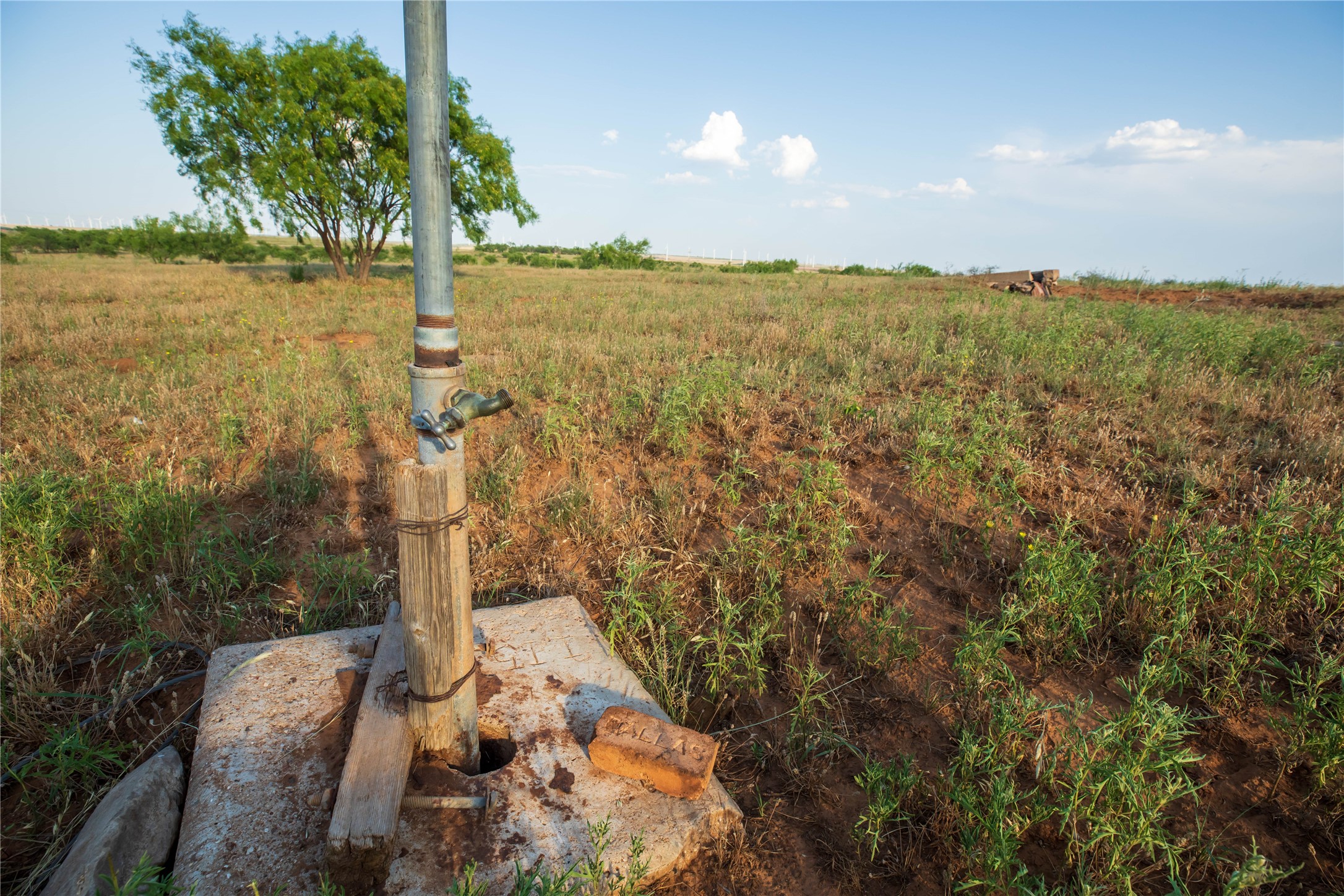 Tbd County Road 458 Colorado City TX 79512