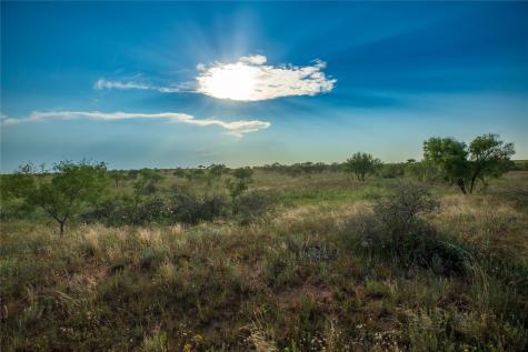 Tbd County Road 458 Colorado City TX 79512