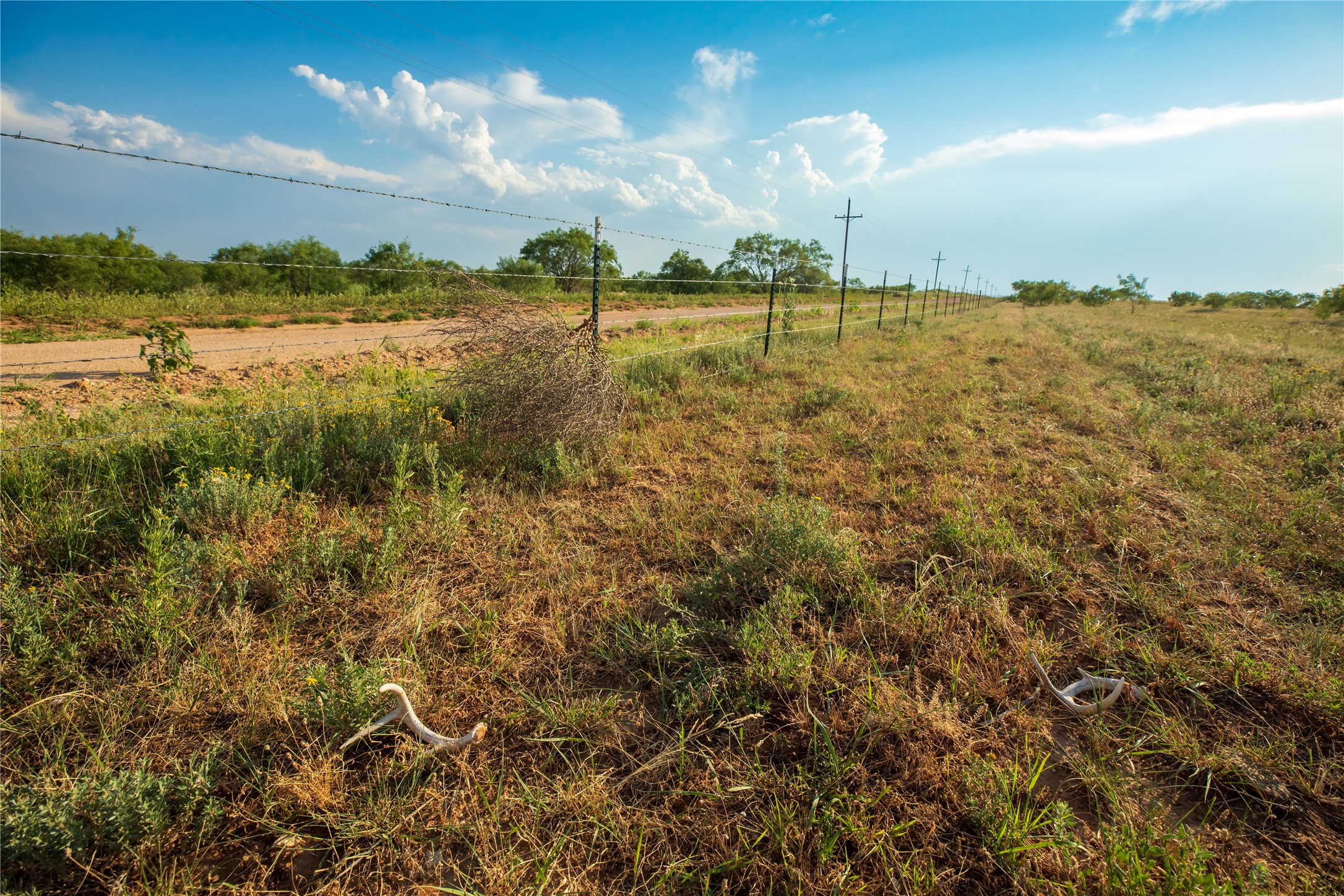 Tbd County Road 458 Colorado City TX 79512