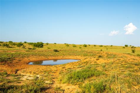 Tbd County Road 458 Colorado City TX 79512