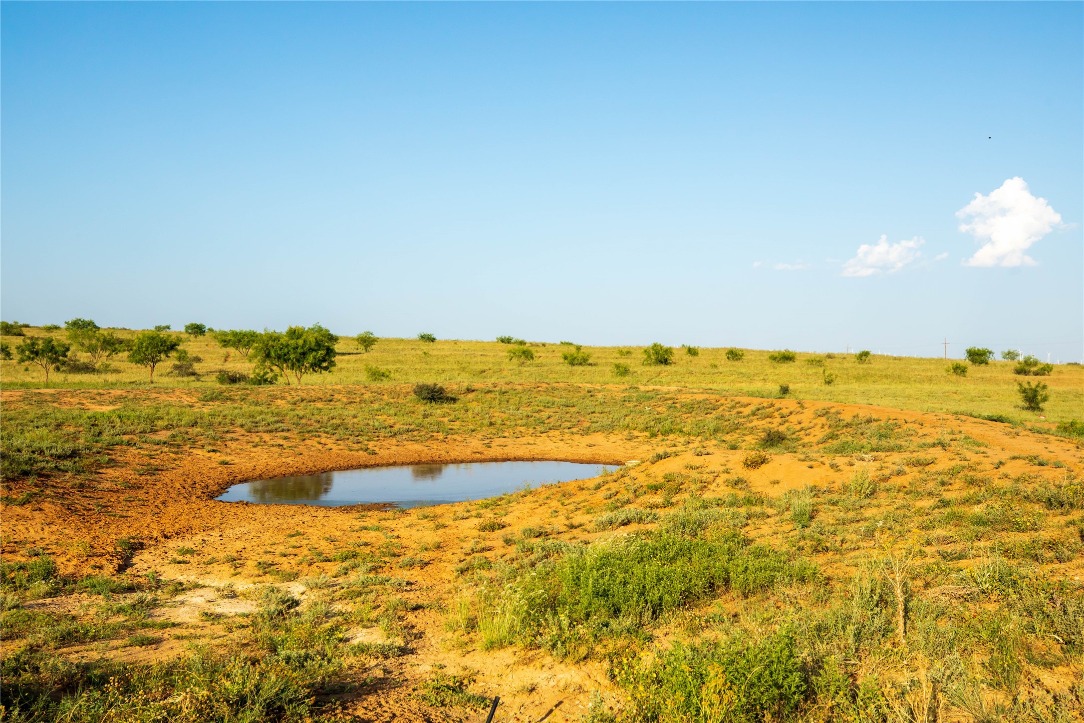 Tbd County Road 458 Colorado City TX 79512