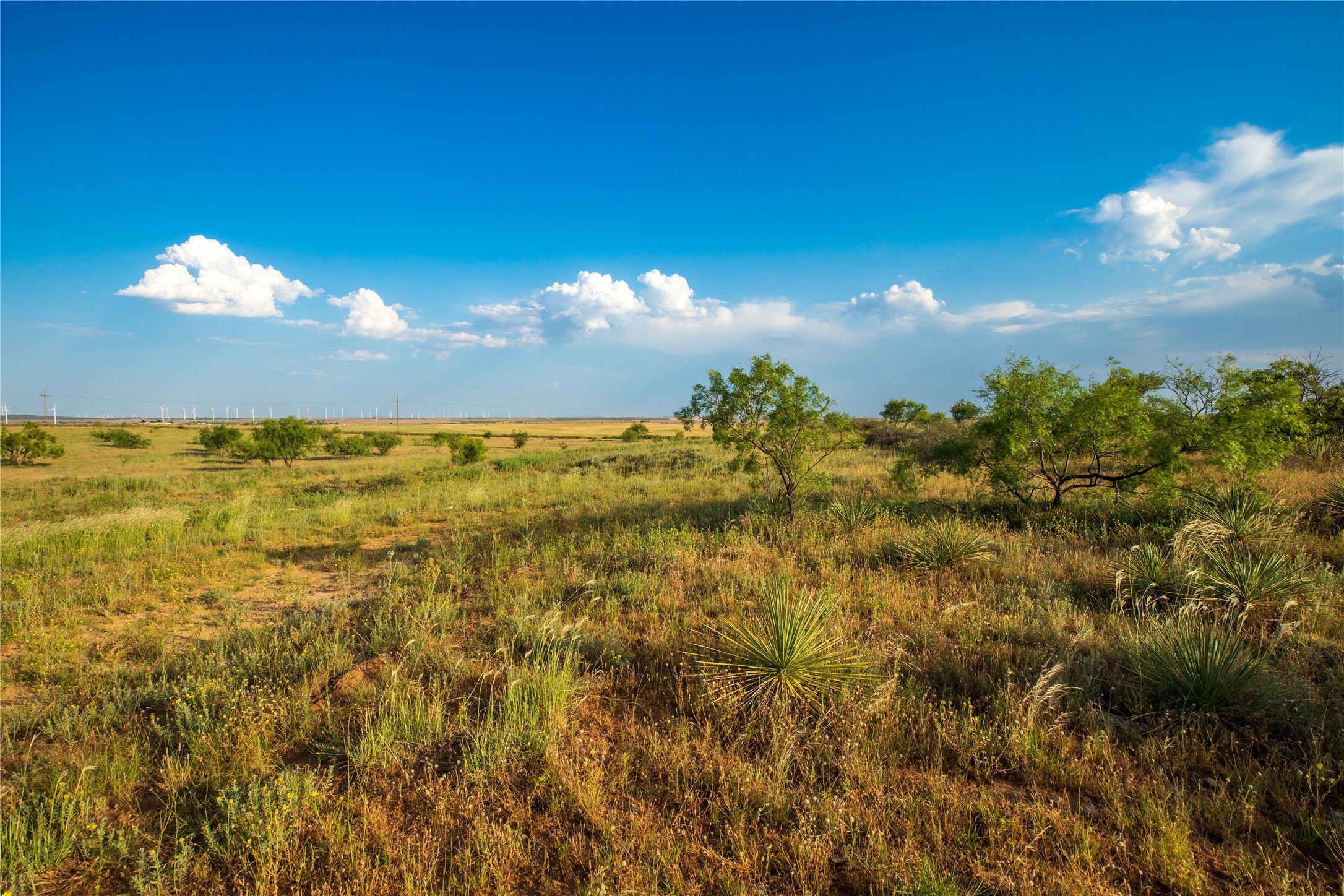 Tbd County Road 458 Colorado City TX 79512