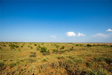 Tbd County Road 458 Colorado City TX 79512