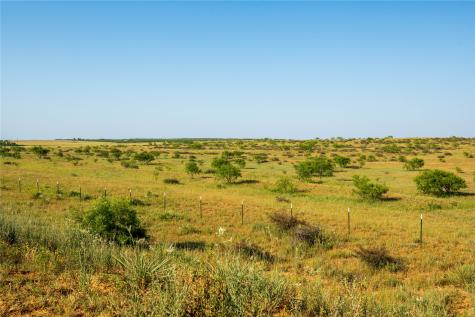 Tbd County Road 458 Colorado City TX 79512