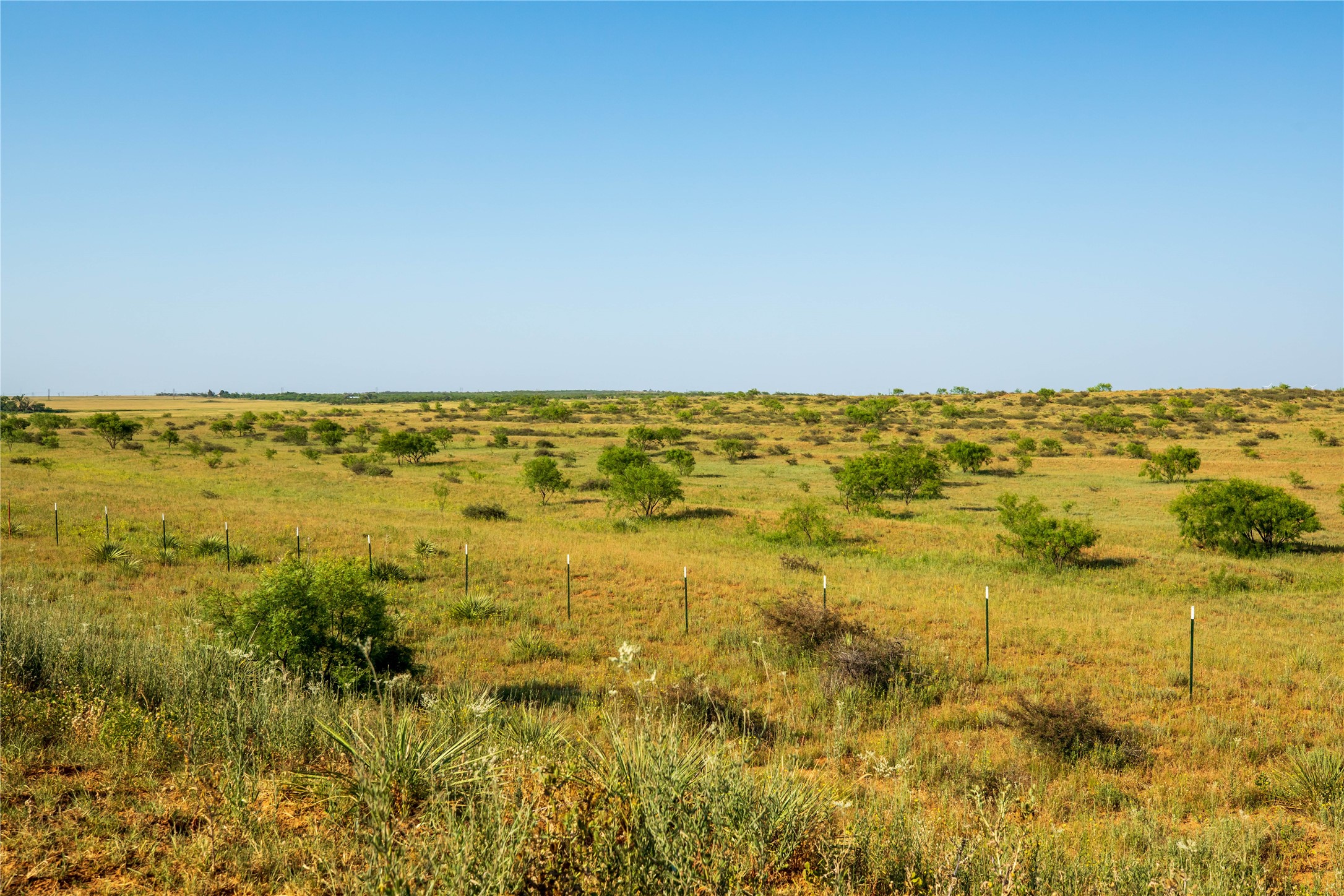 Tbd County Road 458 Colorado City TX 79512
