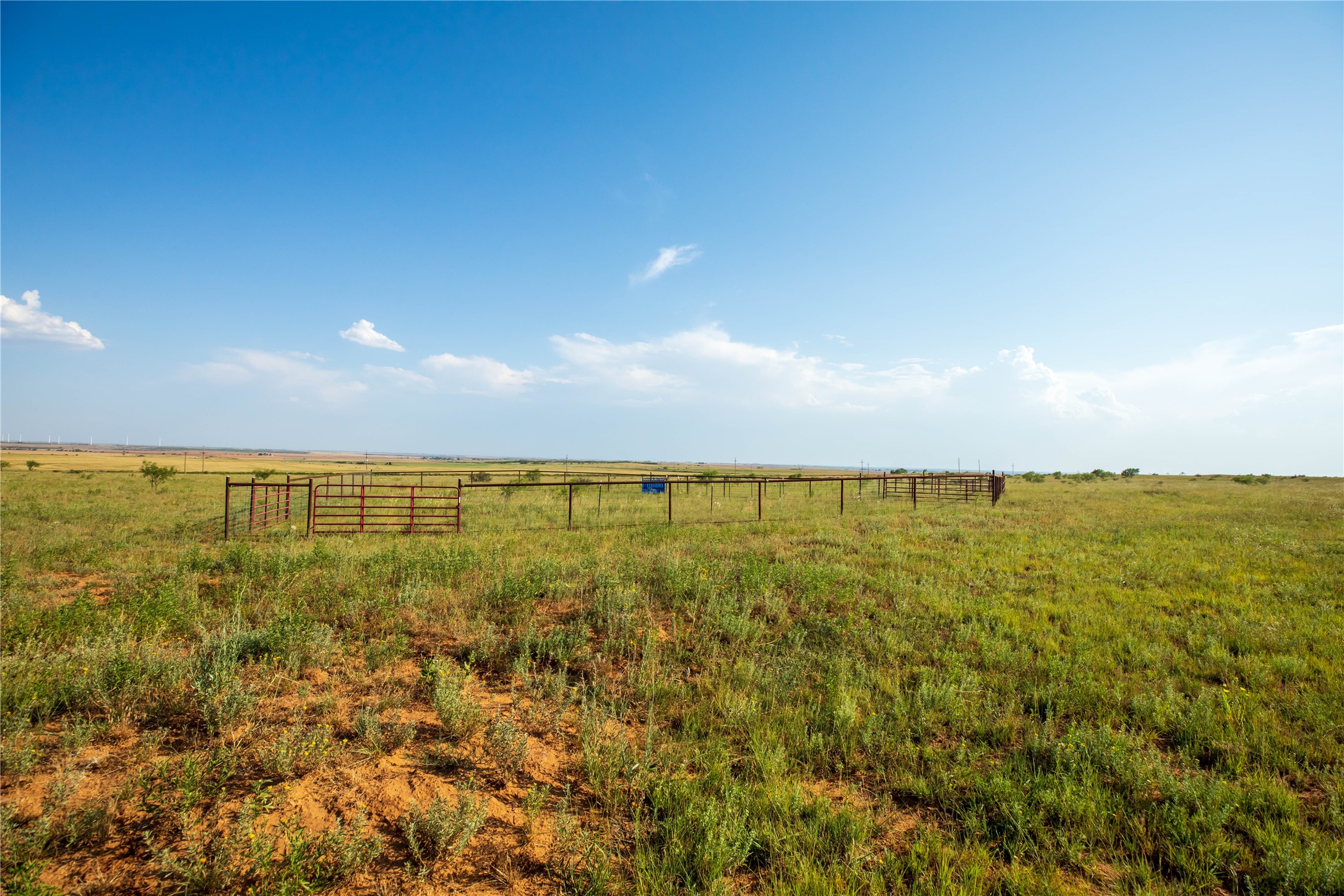 Tbd County Road 458 Colorado City TX 79512