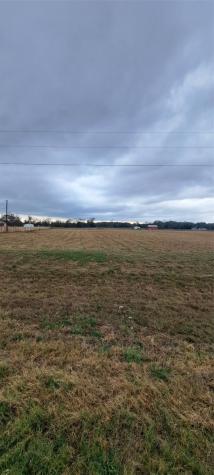 8205 Texas Highway 11 W Sulphur Springs TX 75482