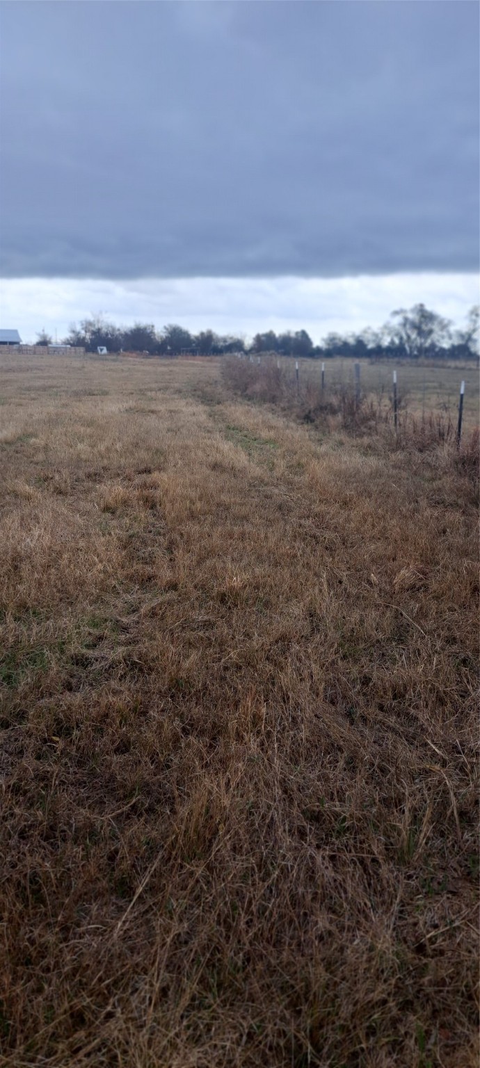 8205 Texas Highway 11 W Sulphur Springs TX 75482
