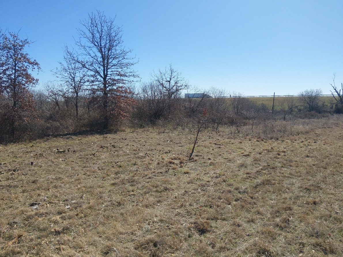 Tbd I-20 Access Road Olden TX 76446
