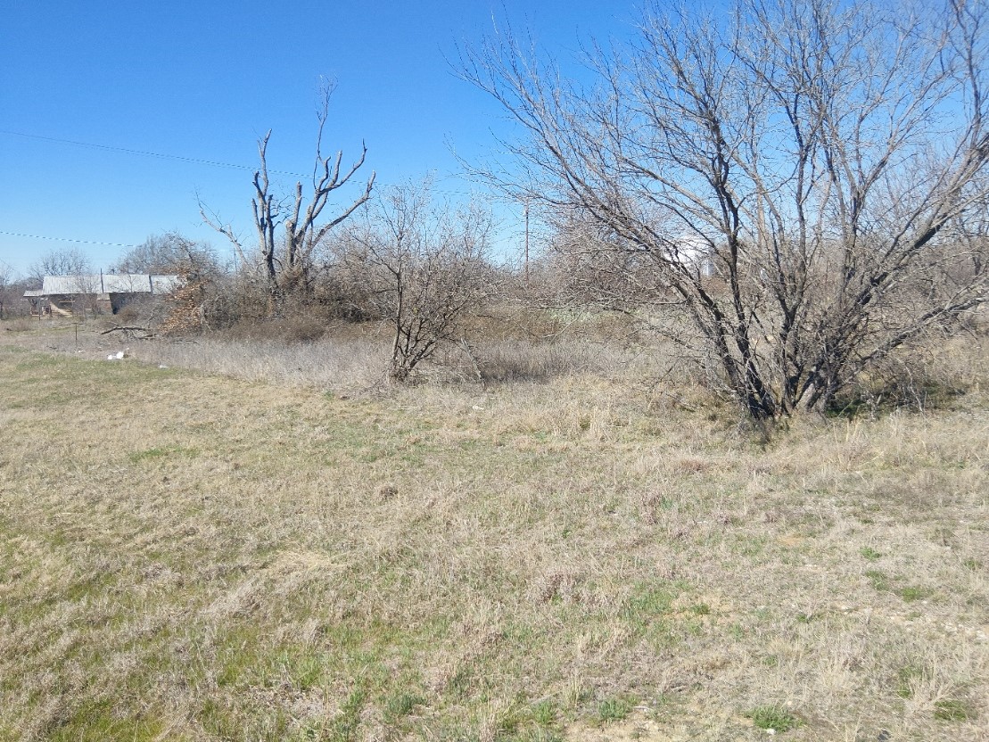 Tbd I-20 Access Road Olden TX 76446