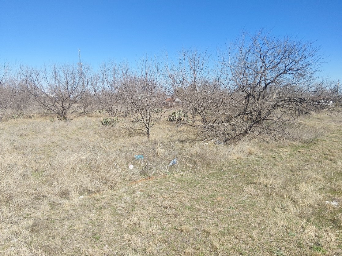Tbd I-20 Access Road Olden TX 76446