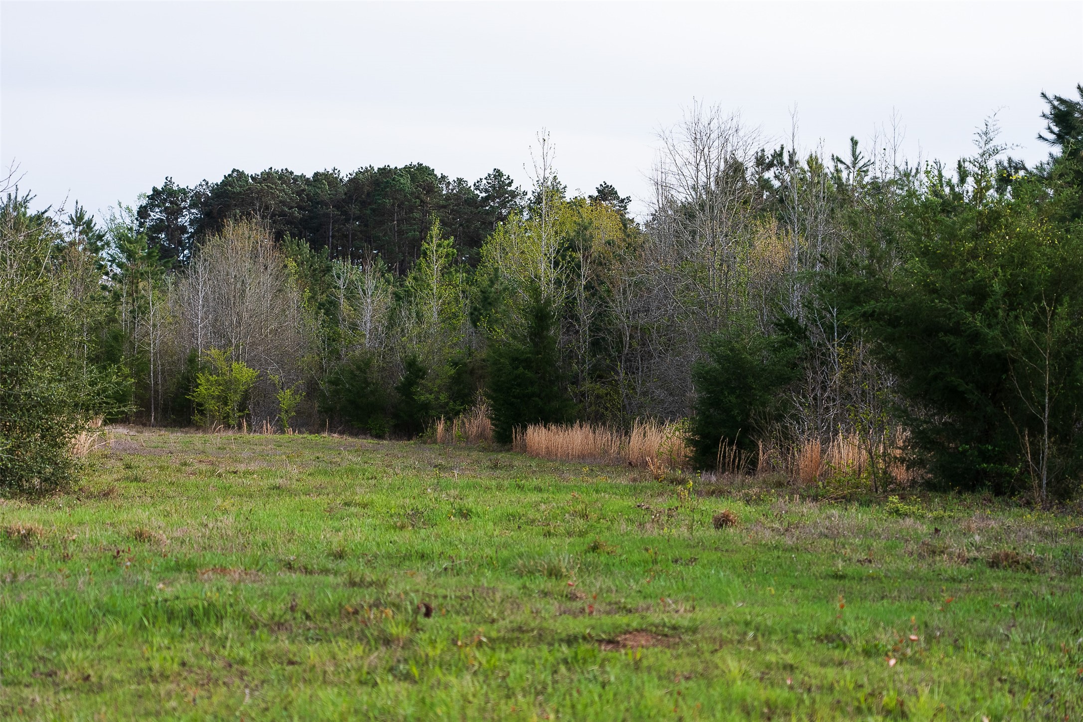 0 Off Of County Road 839 Nacogdoches TX 75964