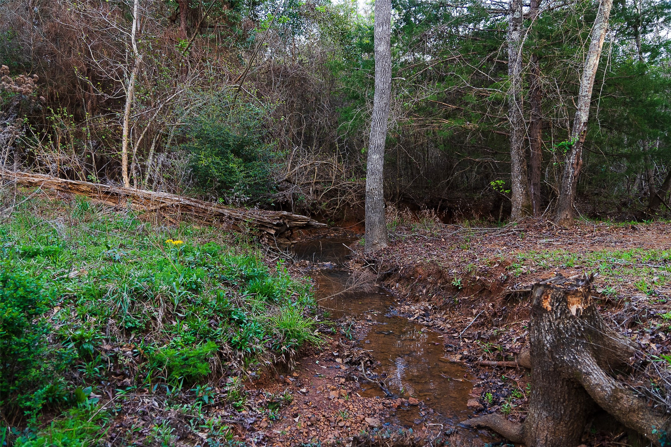 0 Off Of County Road 839 Nacogdoches TX 75964