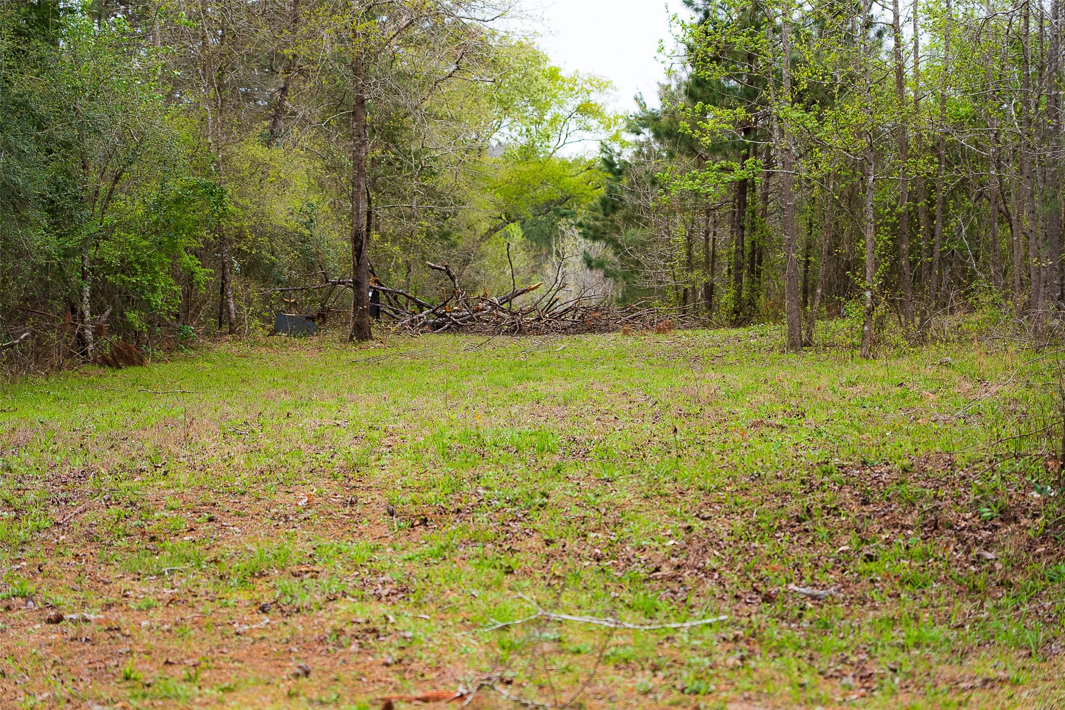 0 Off Of County Road 839 Nacogdoches TX 75964
