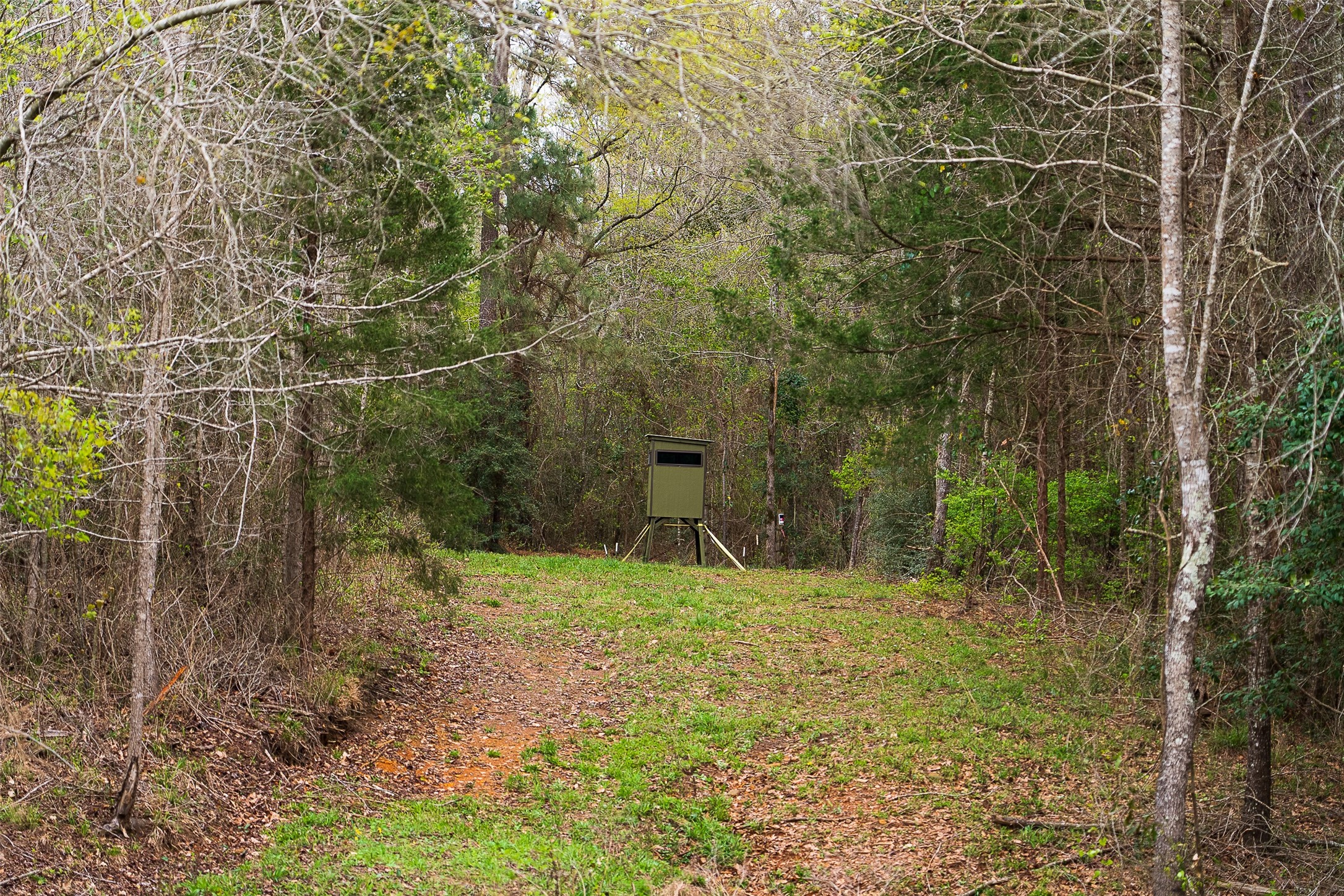 0 Off Of County Road 839 Nacogdoches TX 75964