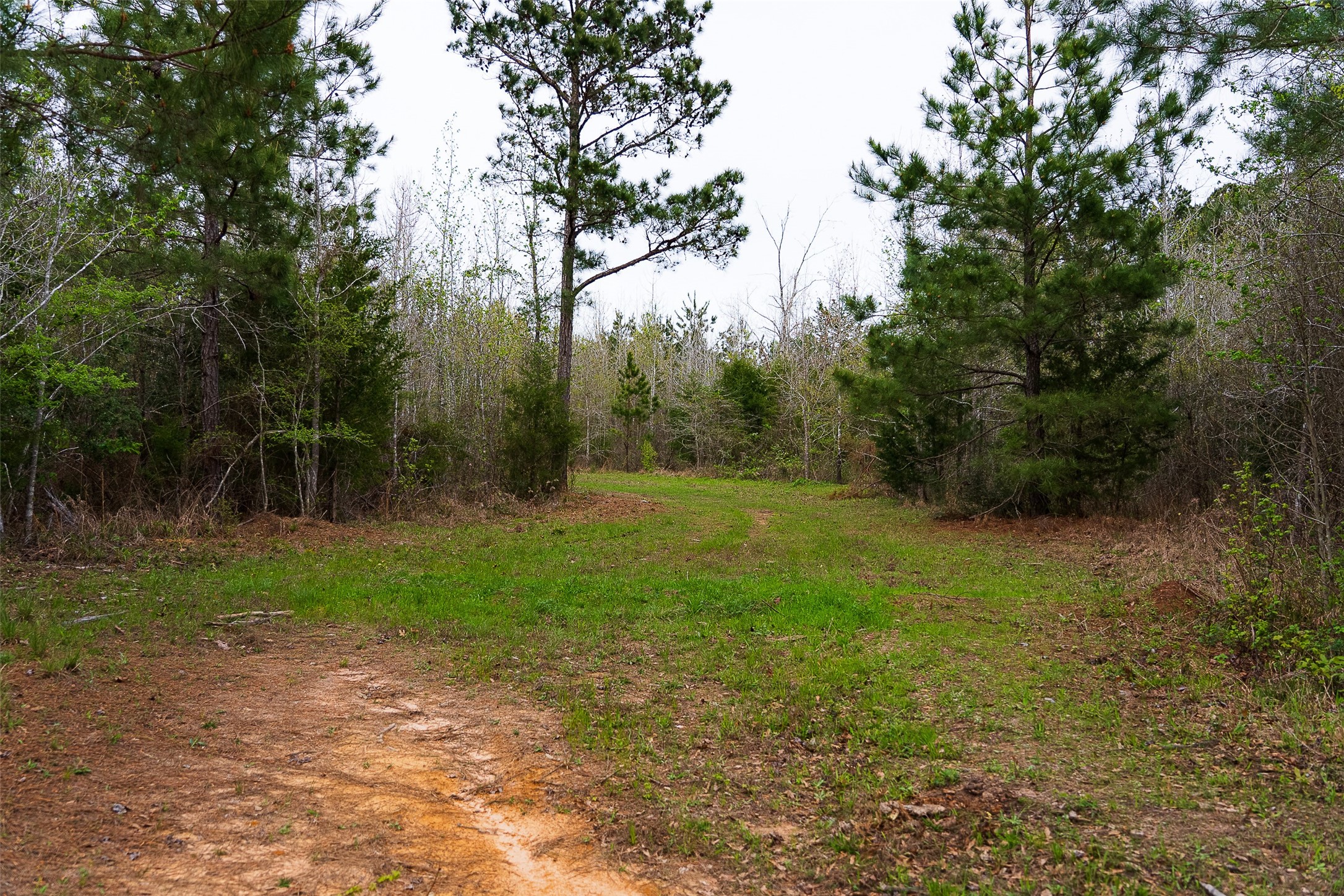 0 Off Of County Road 839 Nacogdoches TX 75964