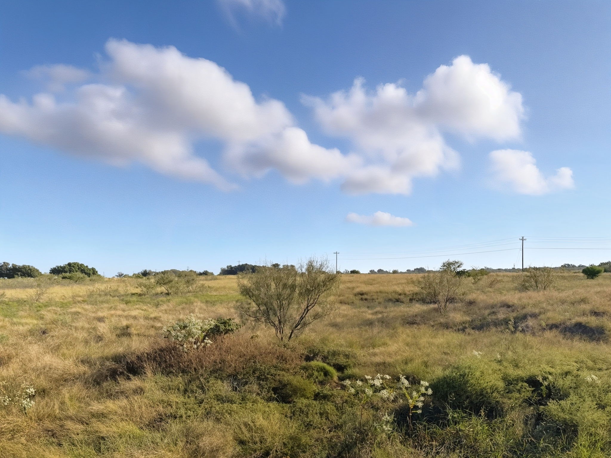 Lot 8 Ph 1 Pr 4219 Evant TX 76525