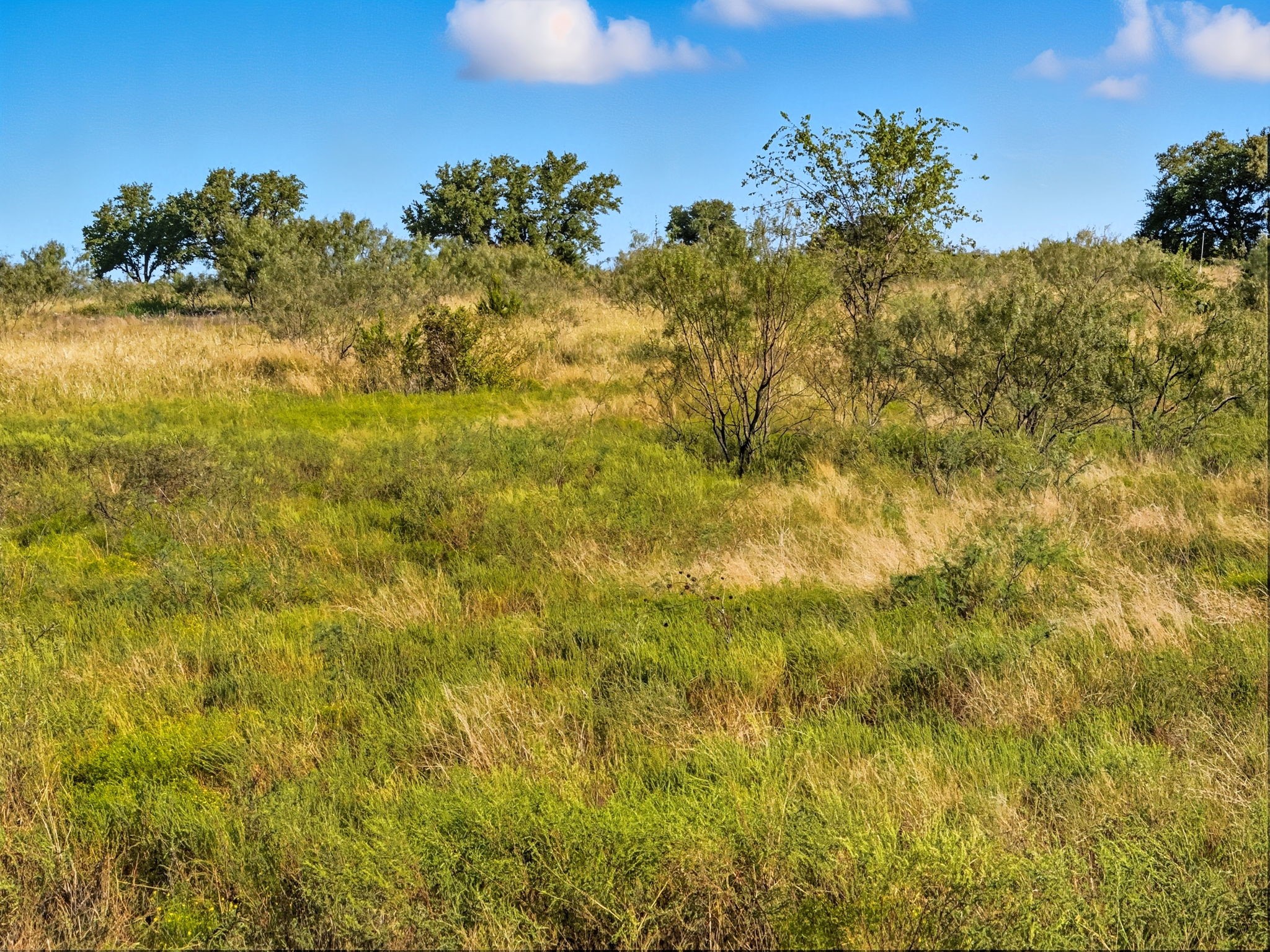 Lot 8 Ph 1 Pr 4219 Evant TX 76525