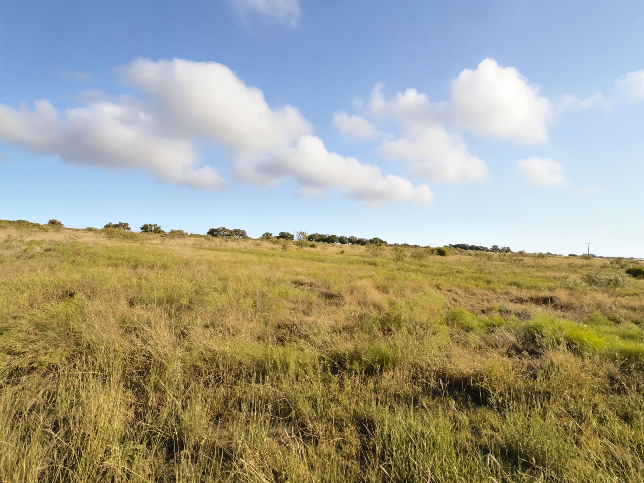 Lot 8 Ph 1 Pr 4219 Evant TX 76525