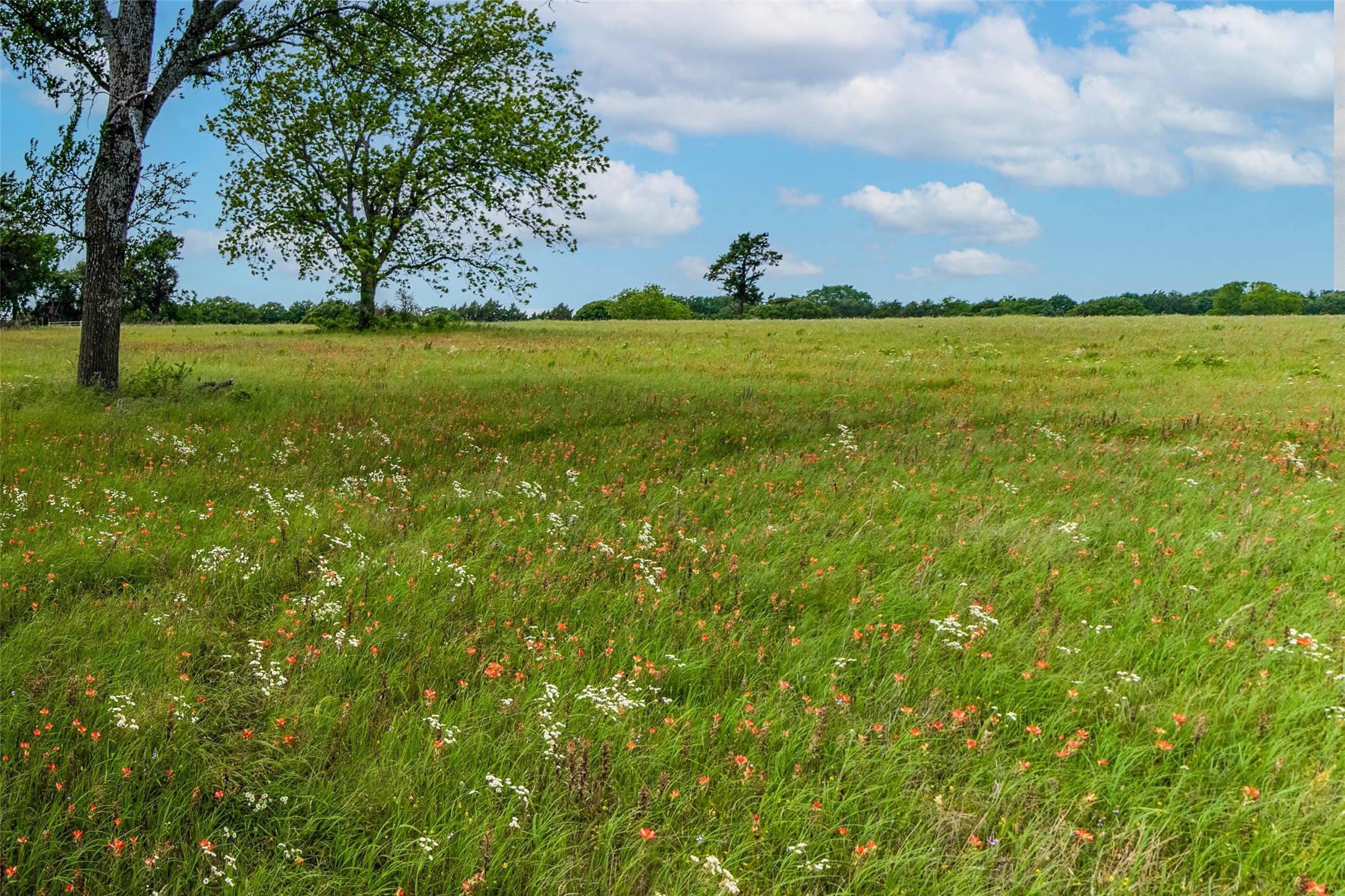 20AC Us Highway 377 Whitesboro TX 76273