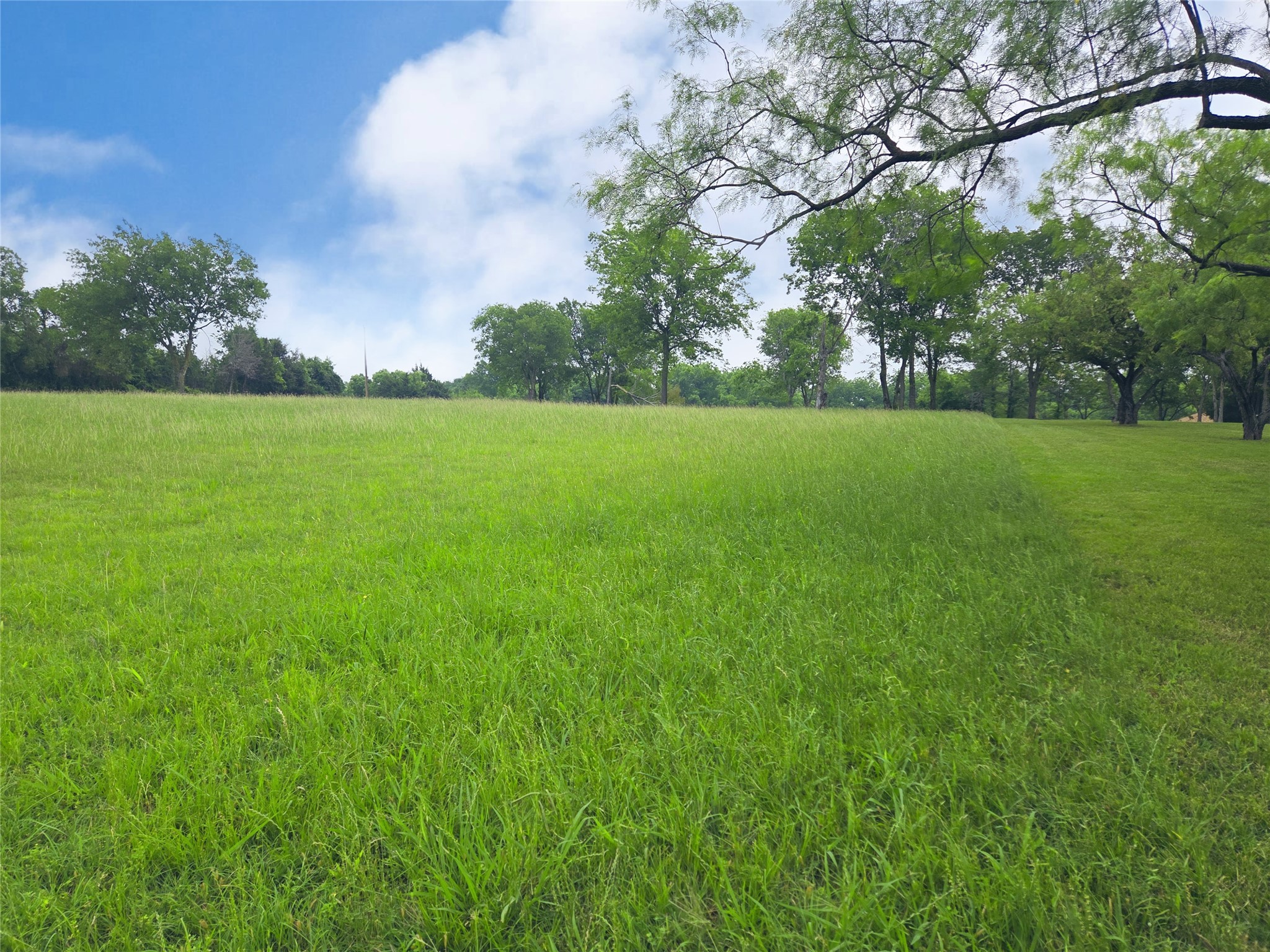 Lot 5 & 6 Francisco Bay Drive Kerens TX 75144