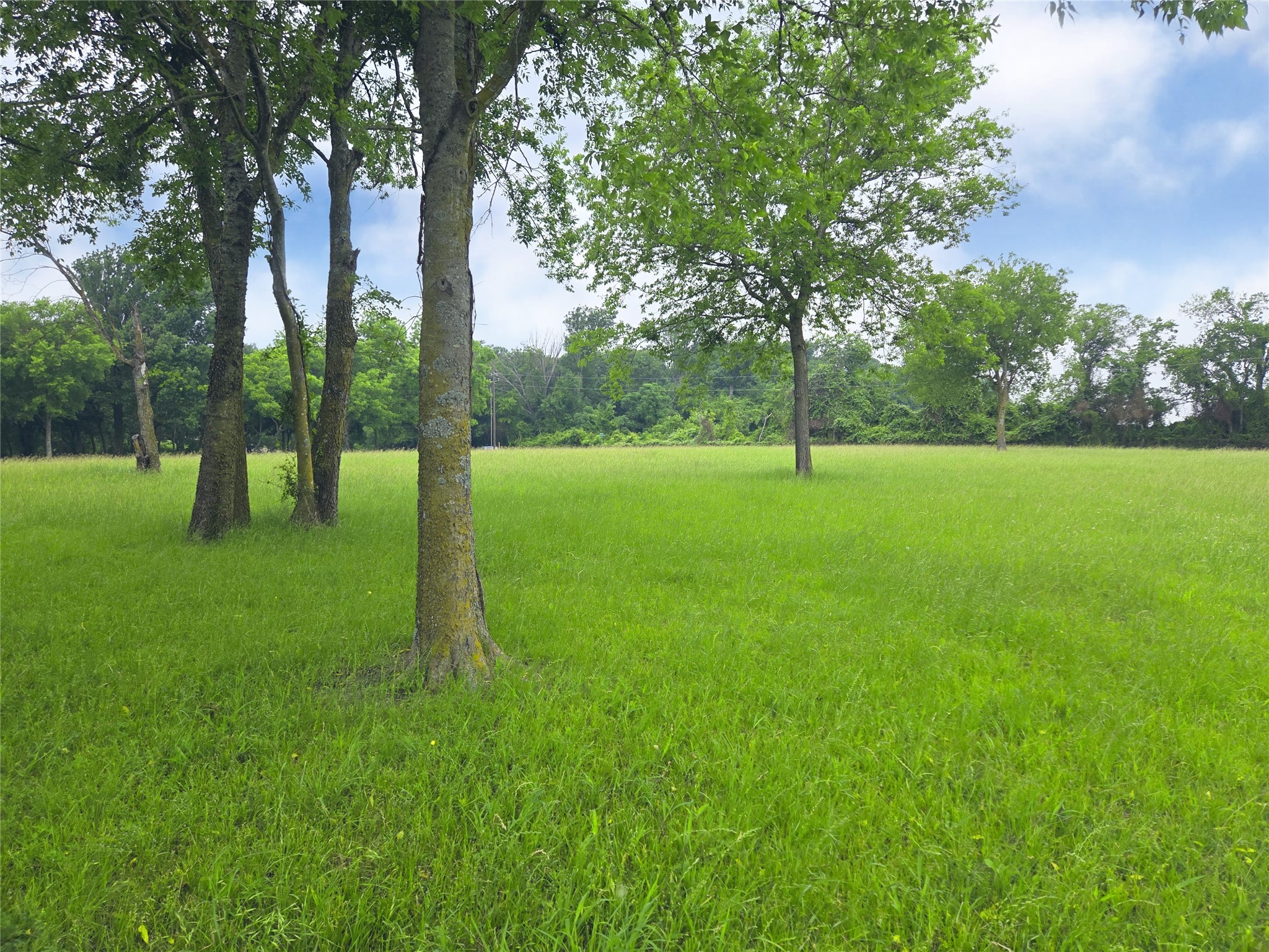 Lot 5 & 6 Francisco Bay Drive Kerens TX 75144