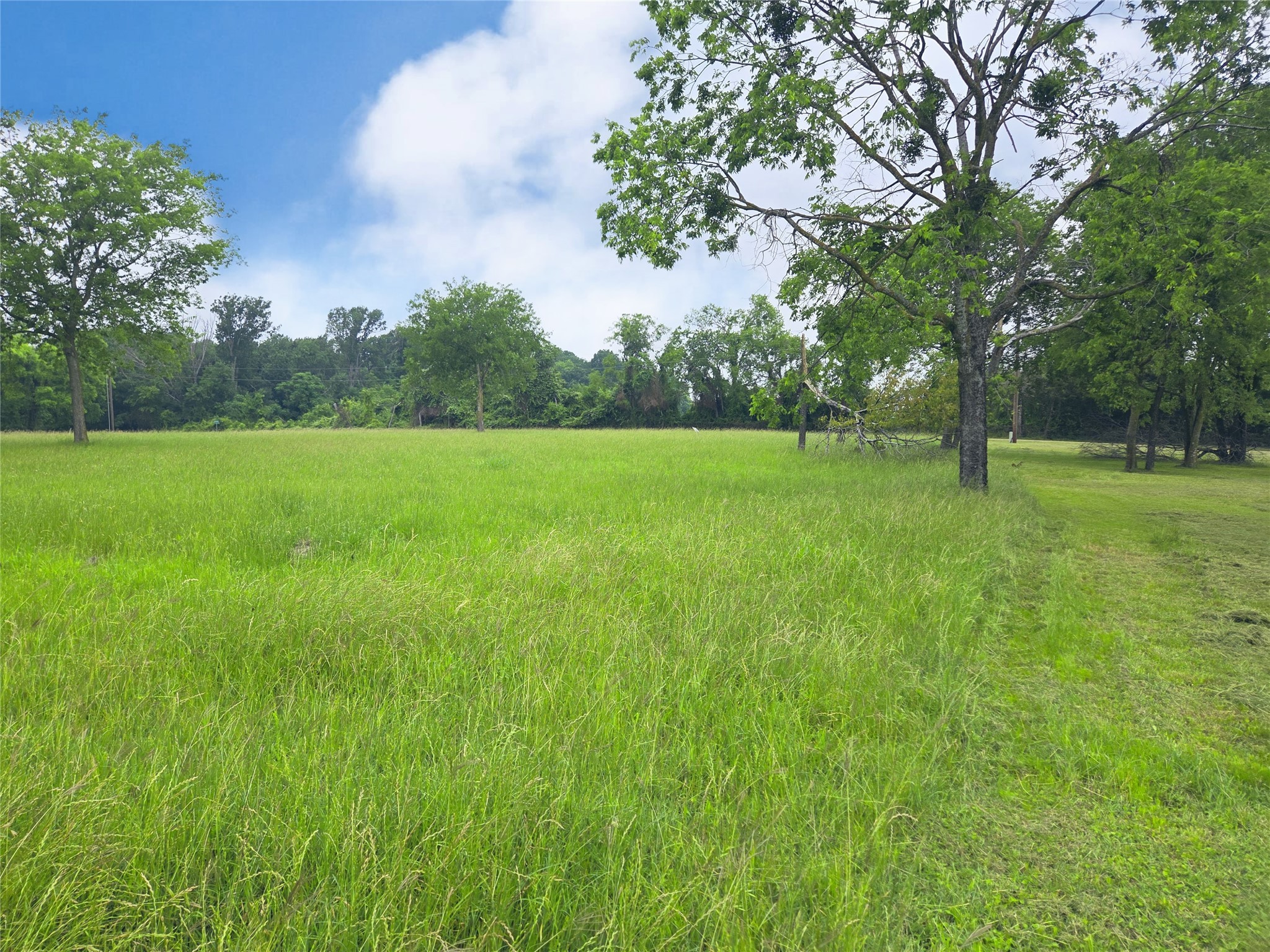 Lot 5 & 6 Francisco Bay Drive Kerens TX 75144