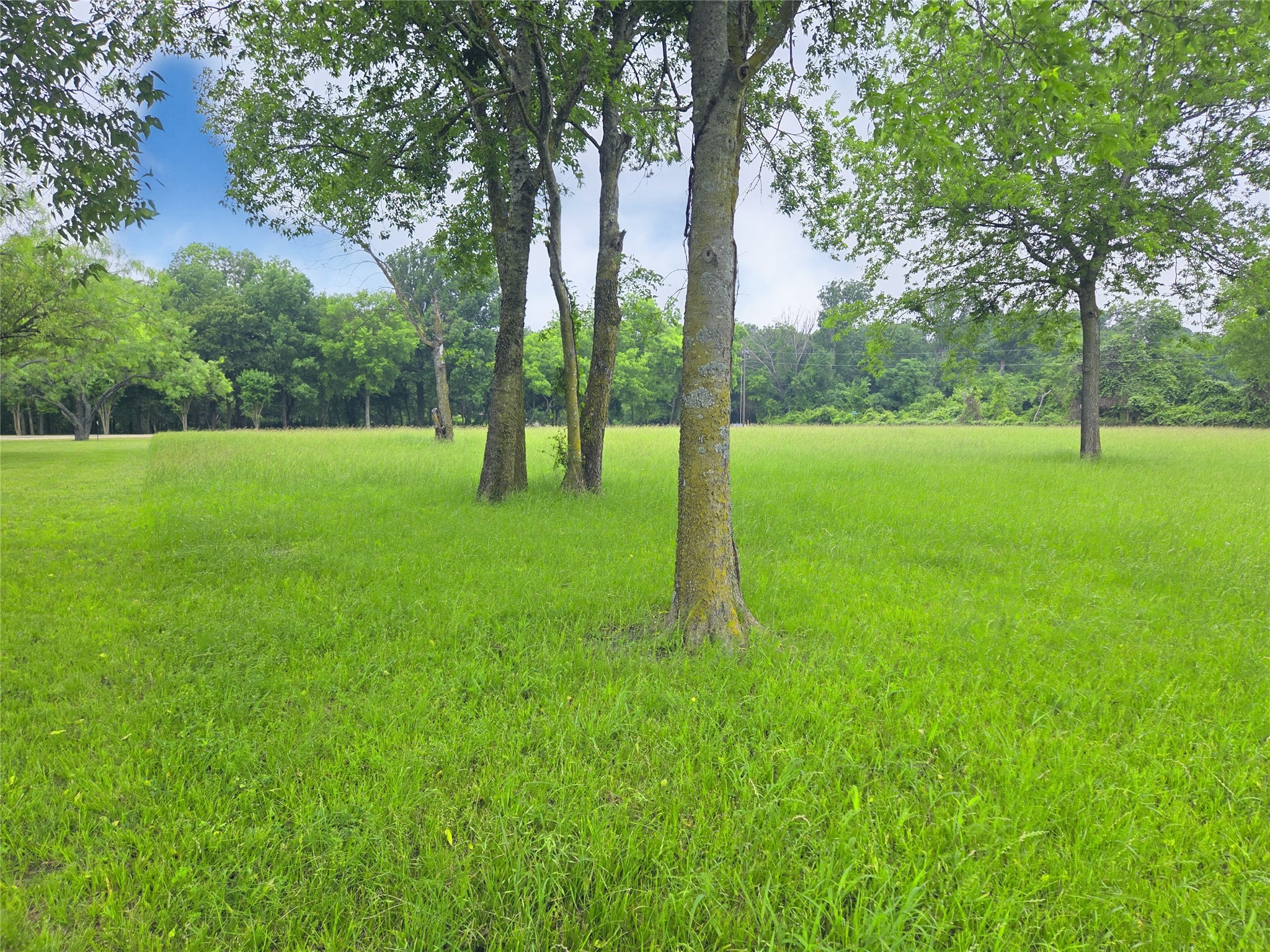 Lot 5 & 6 Francisco Bay Drive Kerens TX 75144