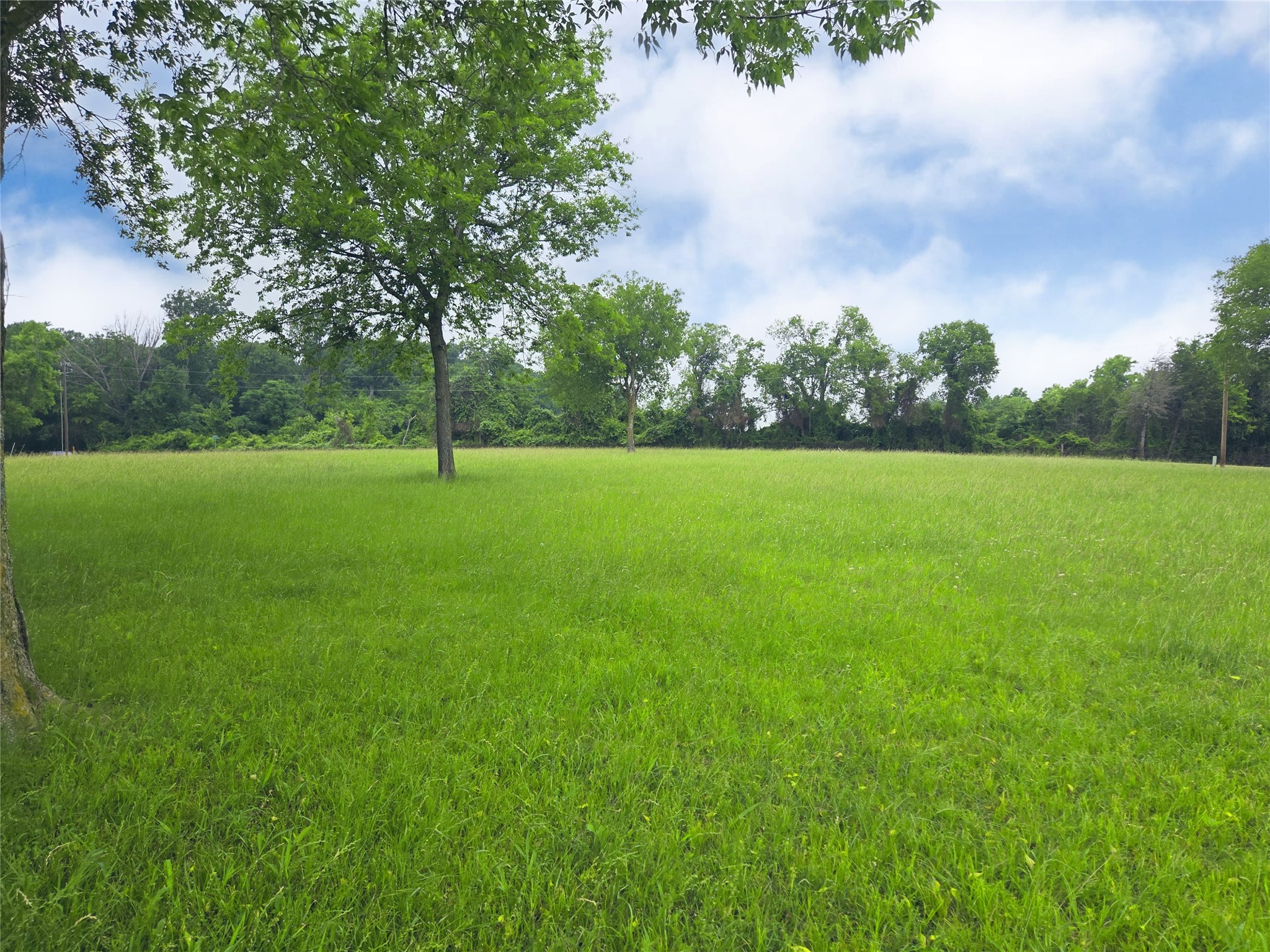 Lot 5 & 6 Francisco Bay Drive Kerens TX 75144