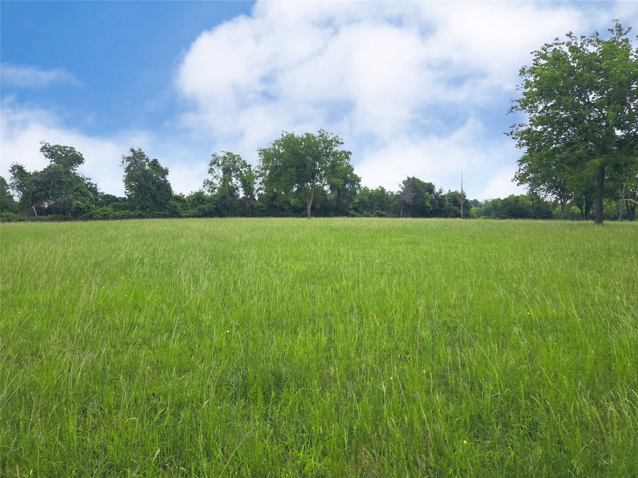 Lot 5 & 6 Francisco Bay Drive Kerens TX 75144
