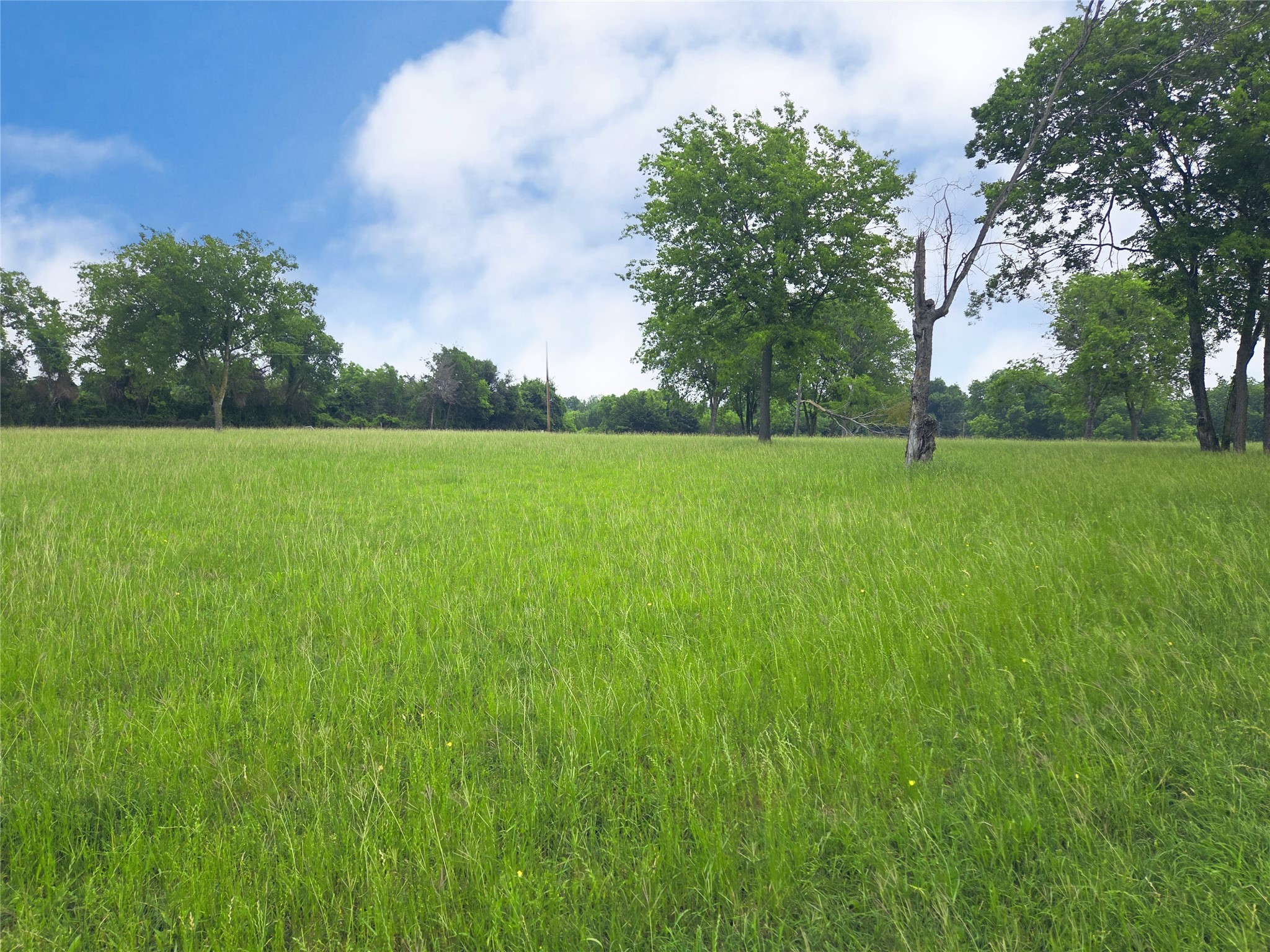 Lot 5 & 6 Francisco Bay Drive Kerens TX 75144