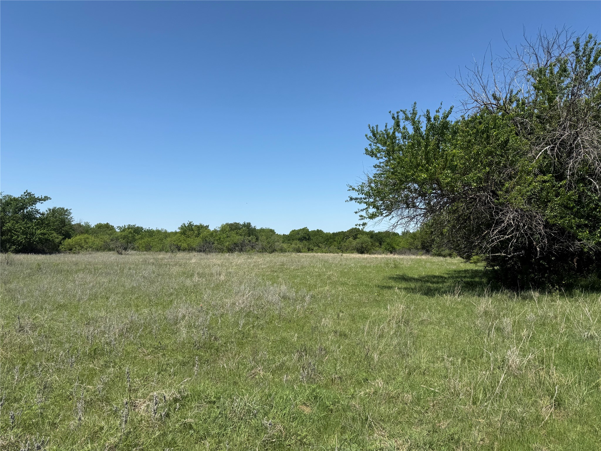 000TBD Highway 82 Nocona TX 76255