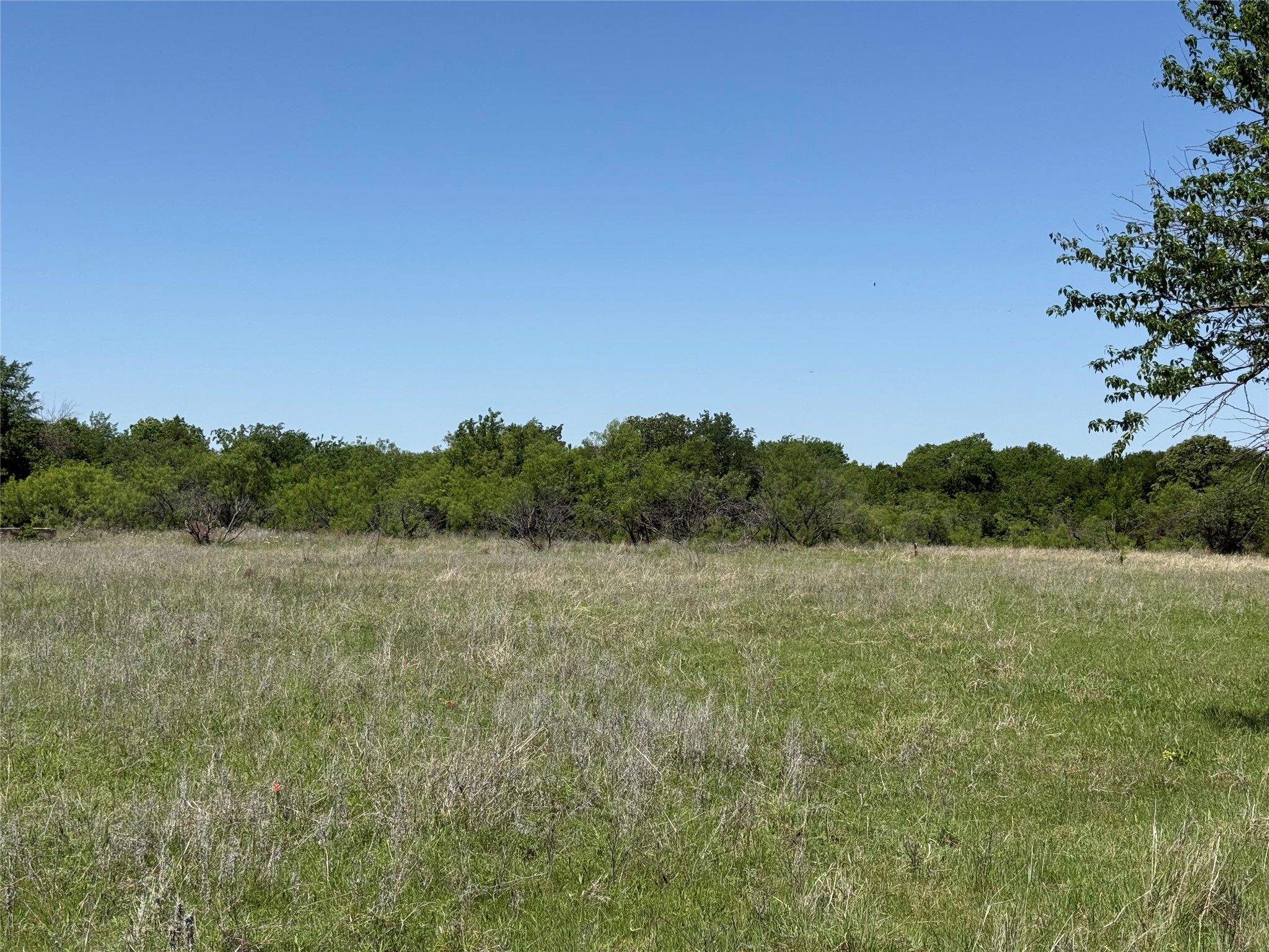 000TBD Highway 82 Nocona TX 76255