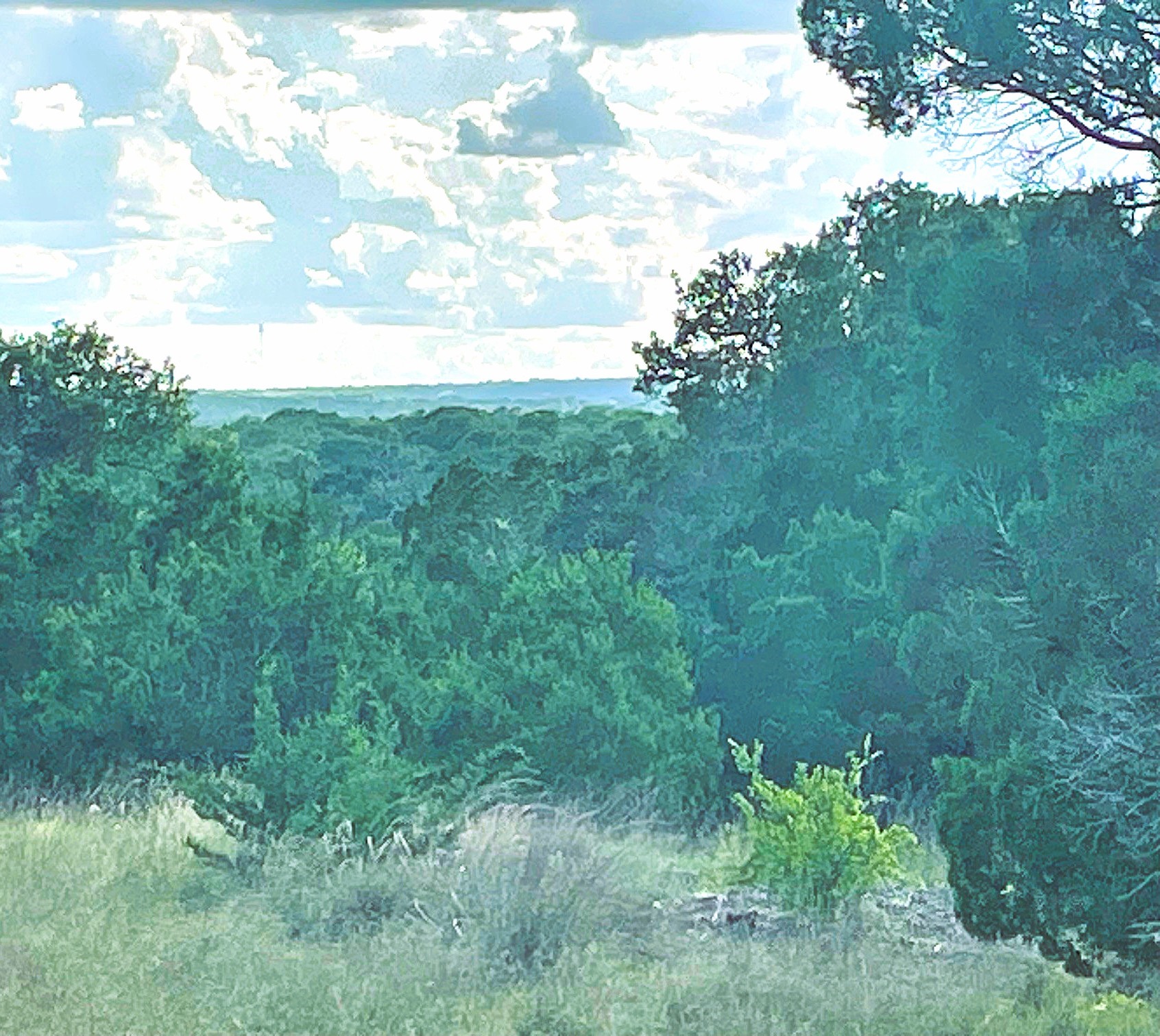 Tbd Lot 16 Ph 5 Evant TX 76525