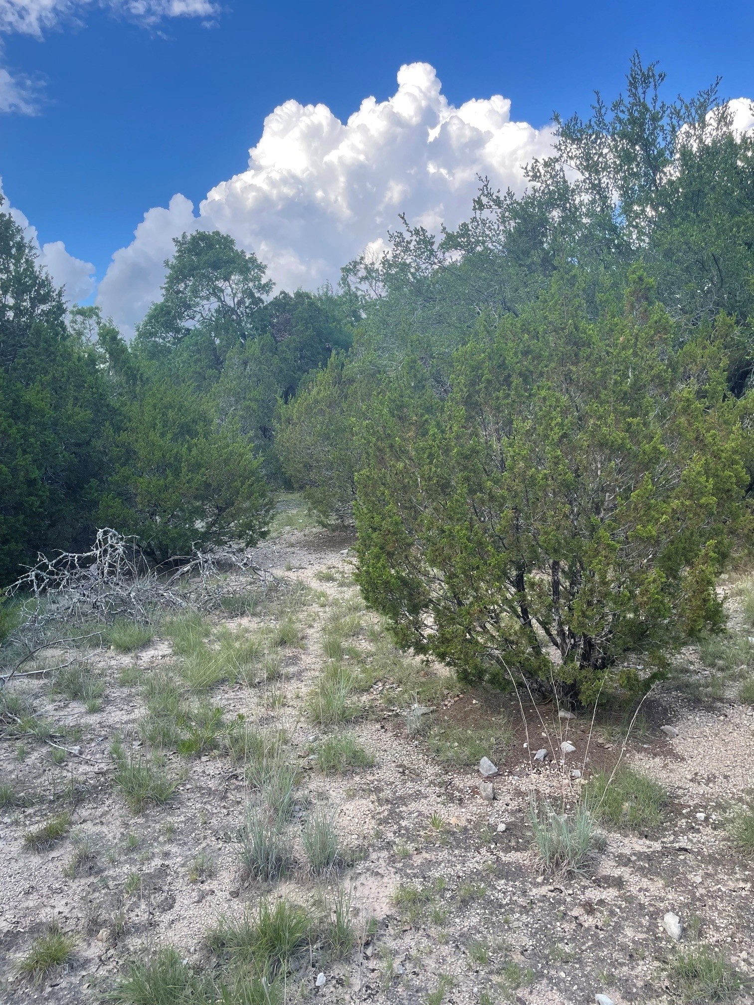 Tbd Lot 16 Ph 5 Evant TX 76525