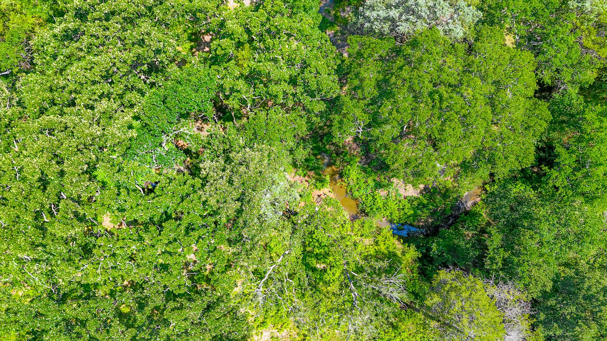 Lot 141 Shenandoah Drive Streetman TX 75859