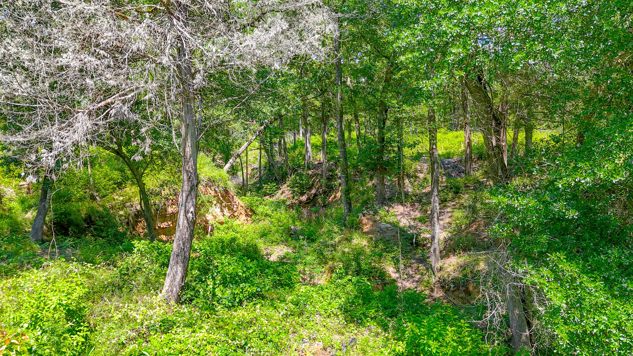 Lot 141 Shenandoah Drive Streetman TX 75859