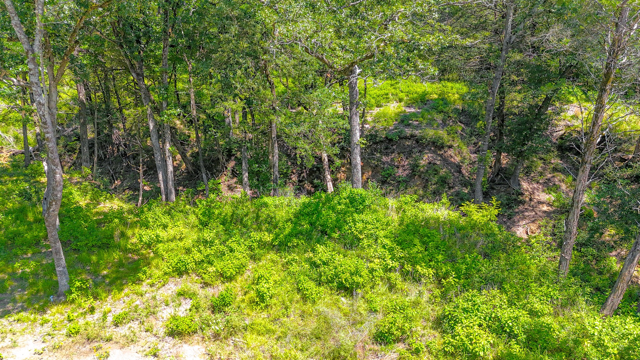 Lot 141 Shenandoah Drive Streetman TX 75859