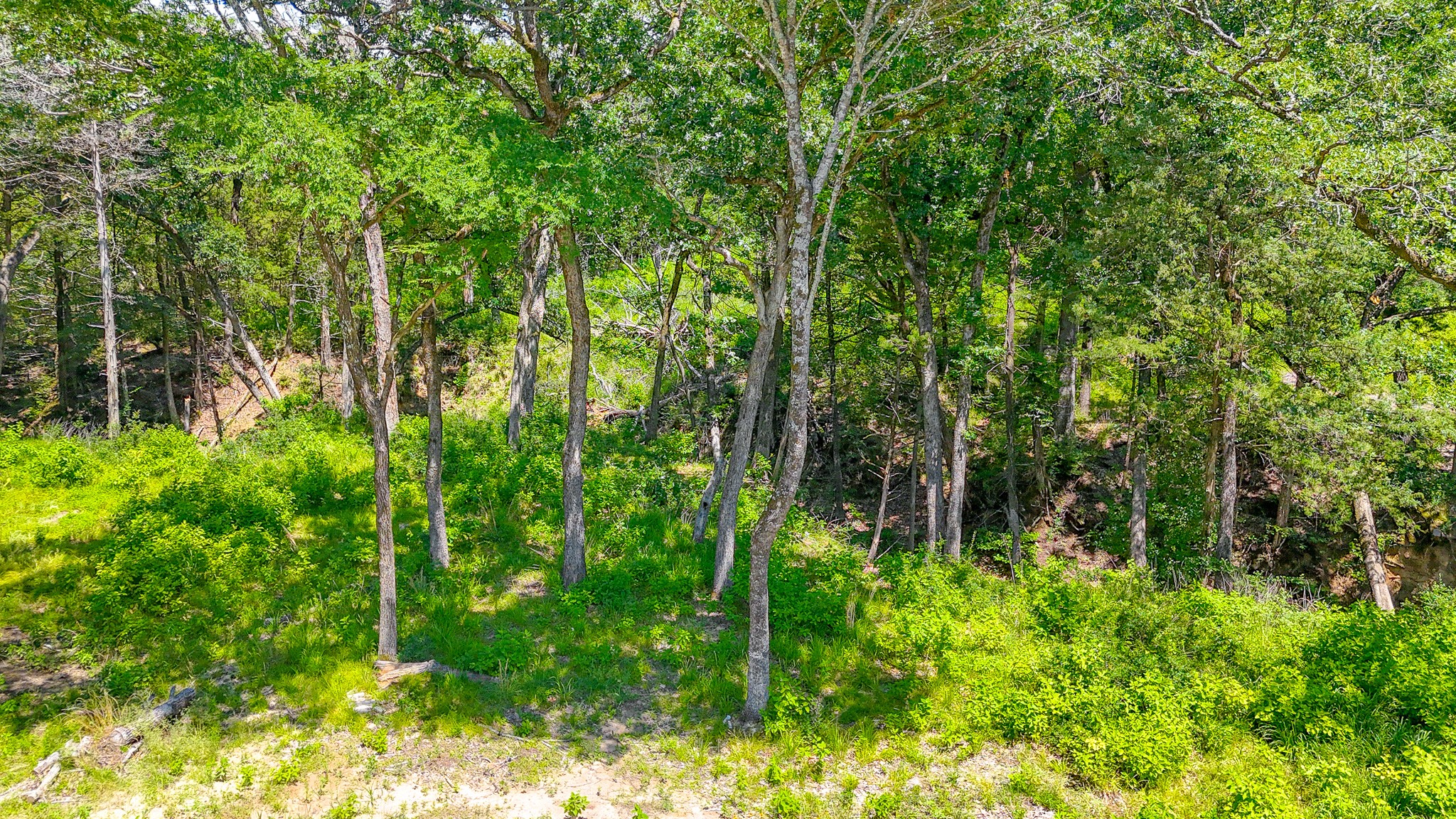 Lot 141 Shenandoah Drive Streetman TX 75859