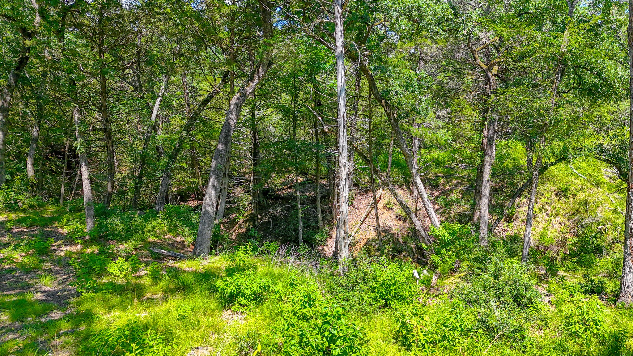 Lot 141 Shenandoah Drive Streetman TX 75859