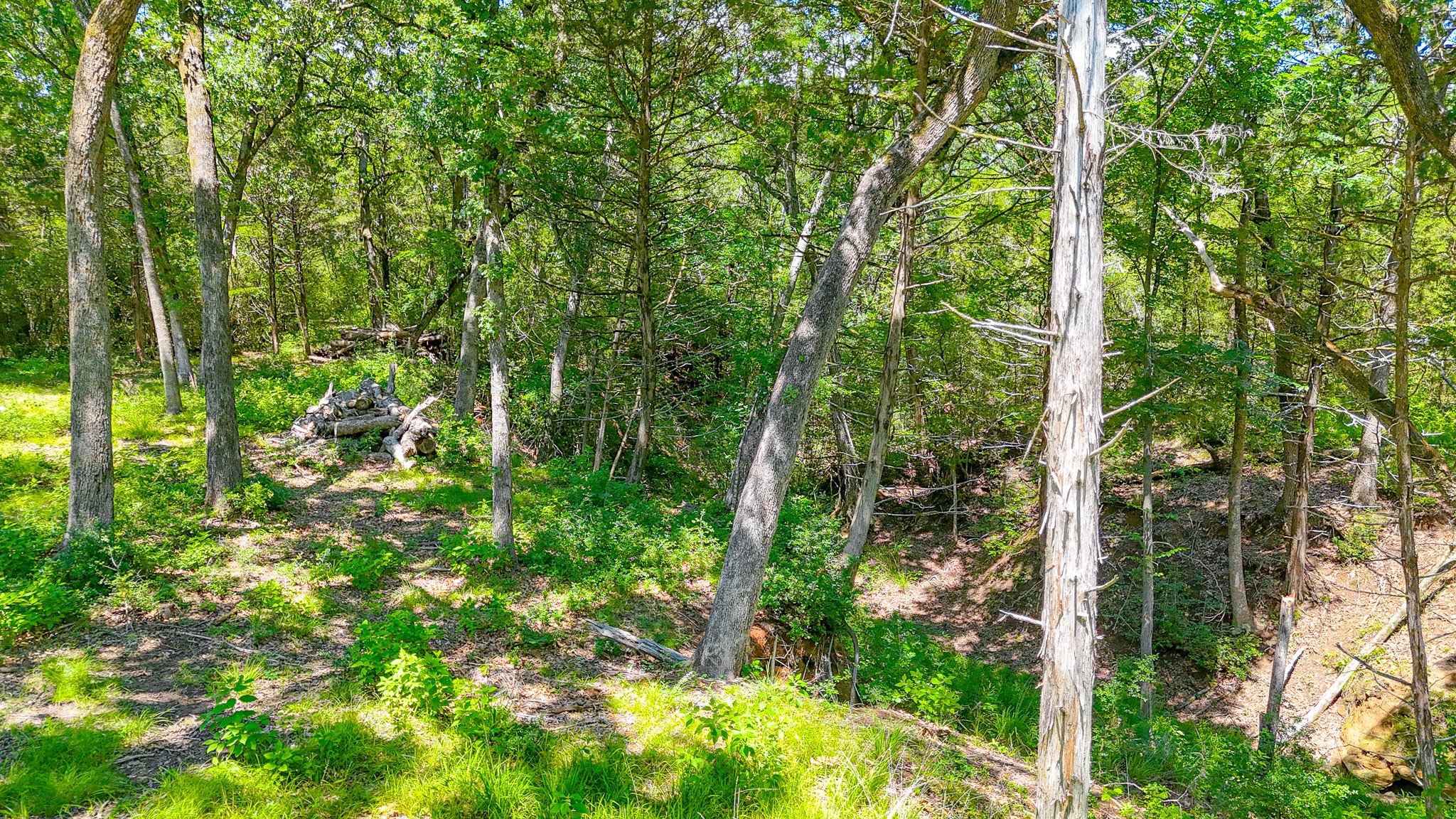 Lot 141 Shenandoah Drive Streetman TX 75859