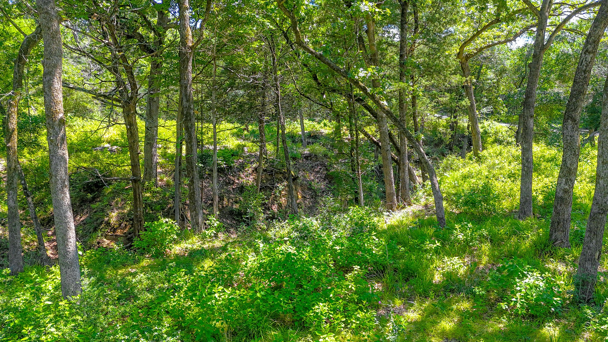 Lot 141 Shenandoah Drive Streetman TX 75859