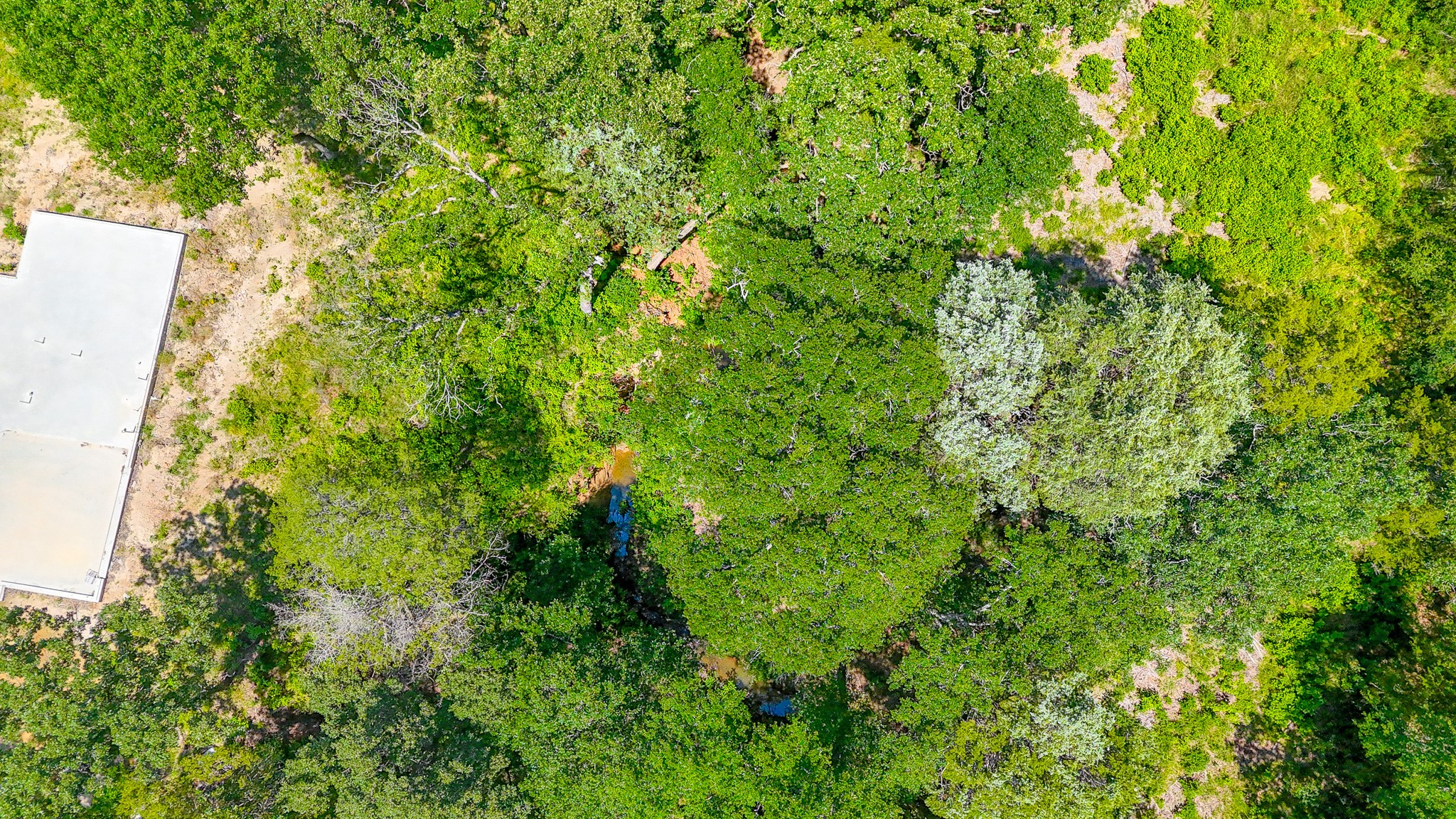 Lot 141 Shenandoah Drive Streetman TX 75859